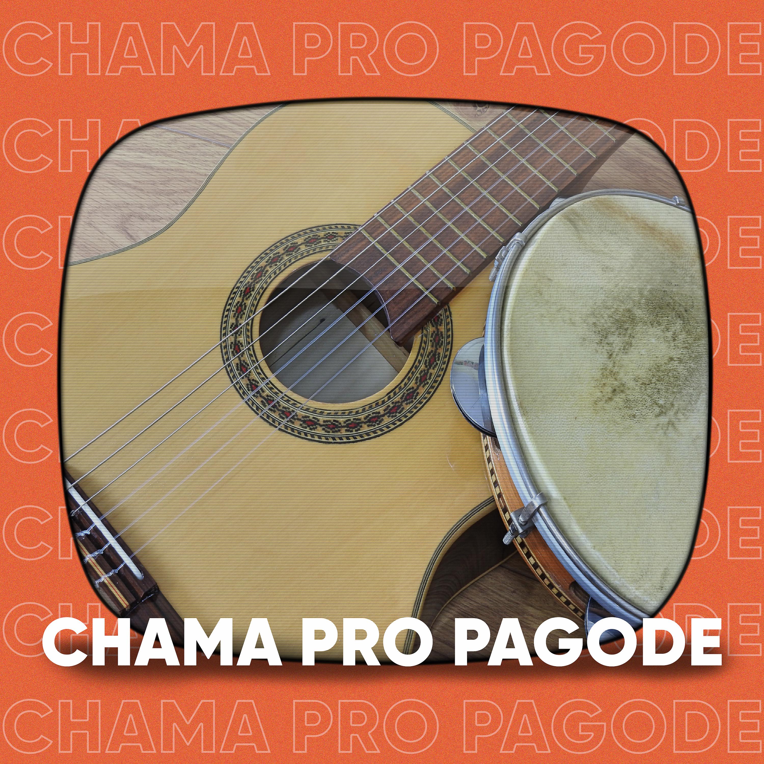 Постер альбома Chama Pro Pagode