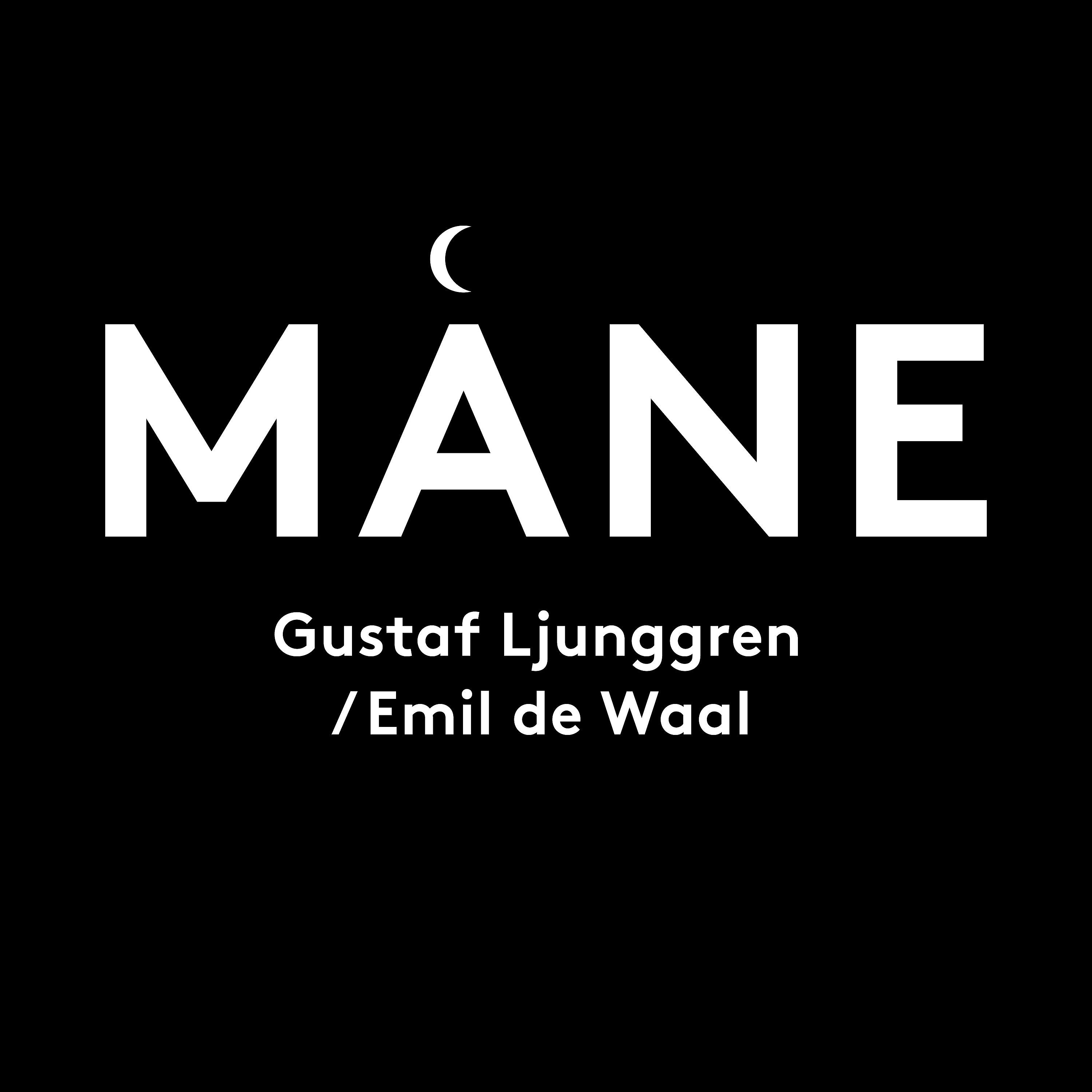 Постер альбома Måne