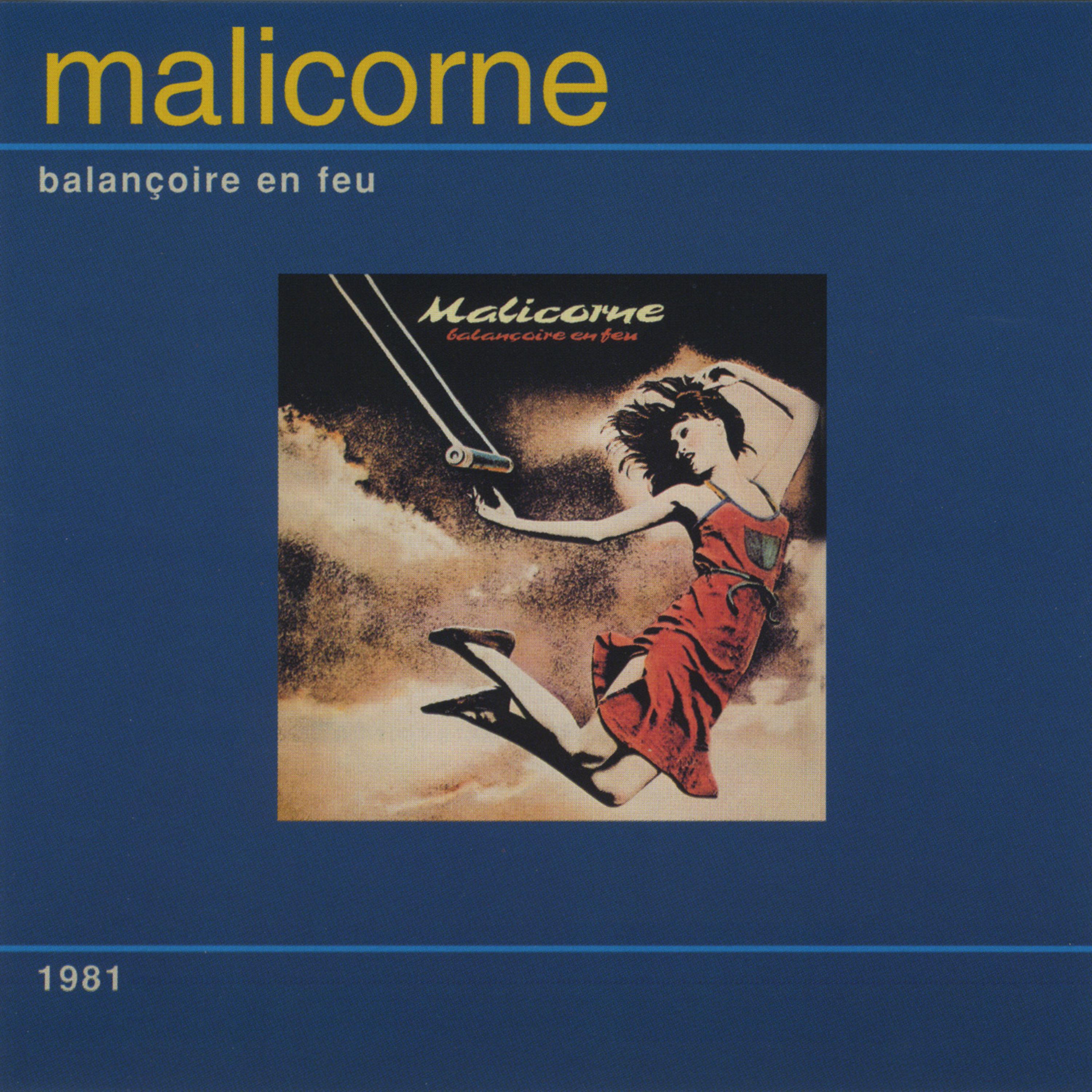 Постер альбома Balançoire en feu