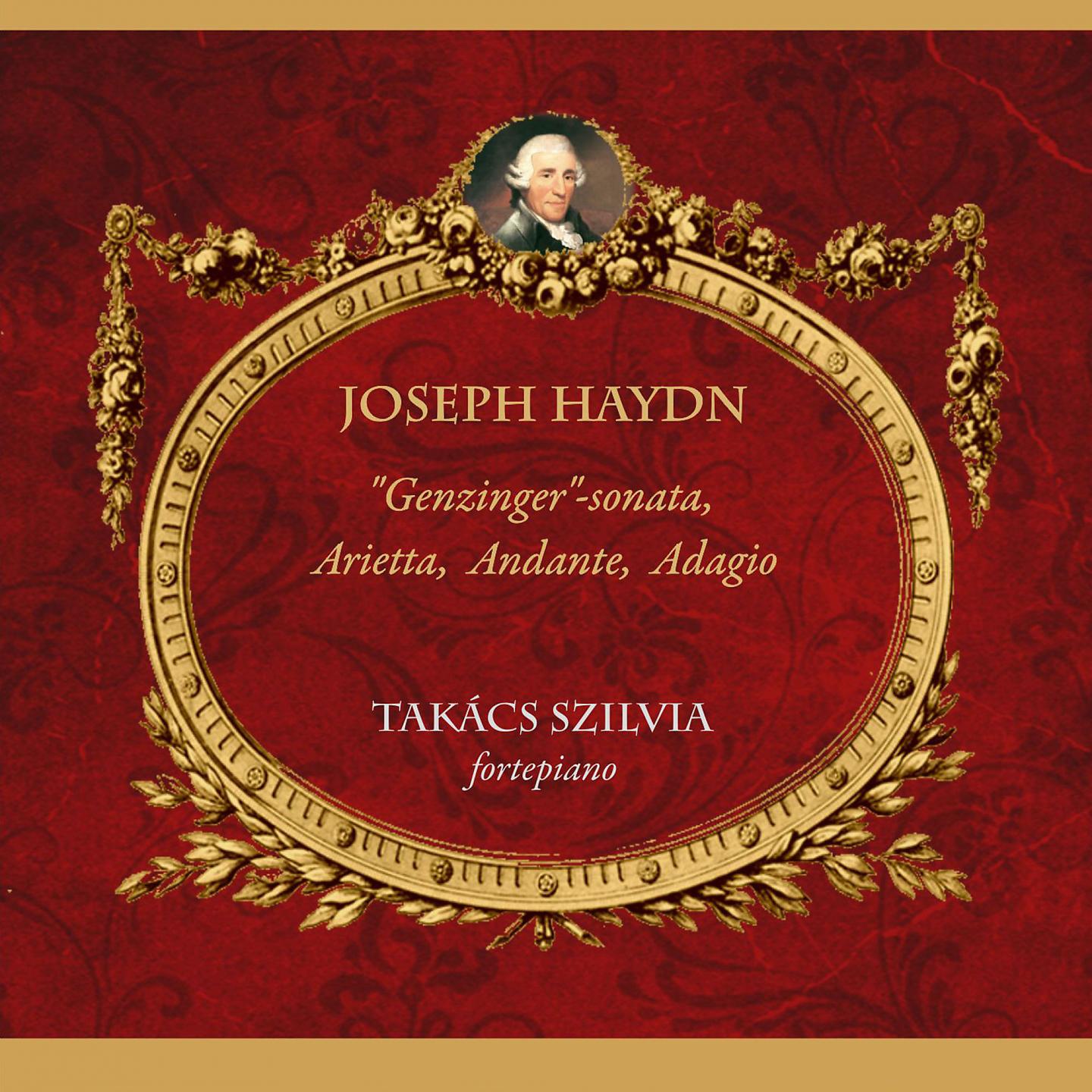Постер альбома Joseph Haydn: "Genzinger" Sonata