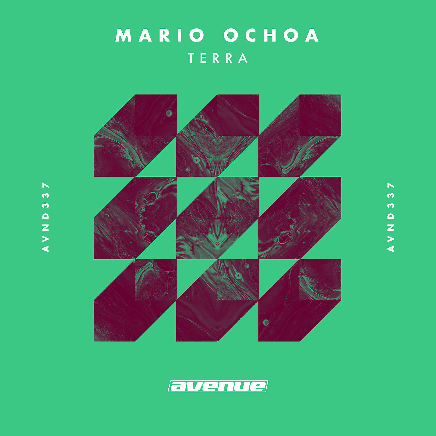 Mario Ochoa - Terra