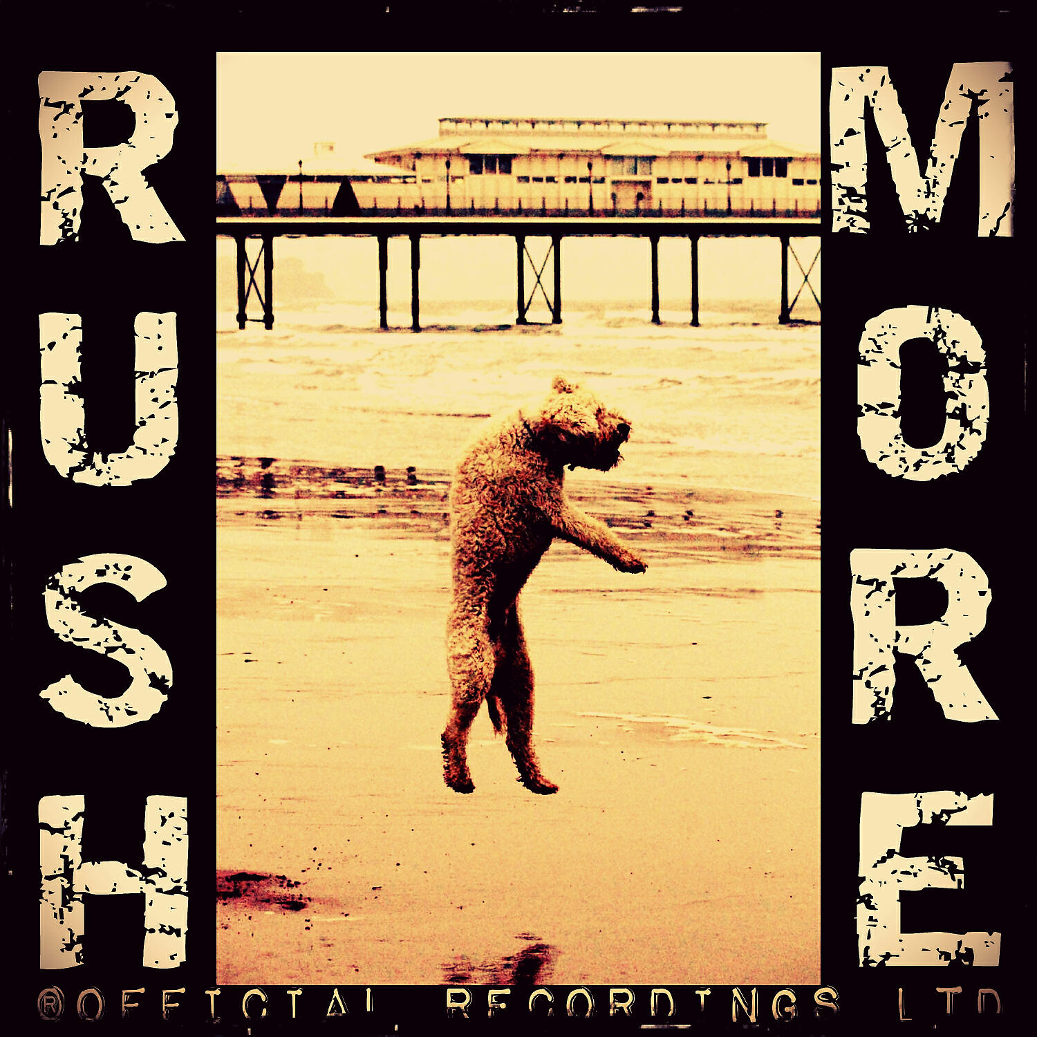 RUSHMORE - Gnar Gnar