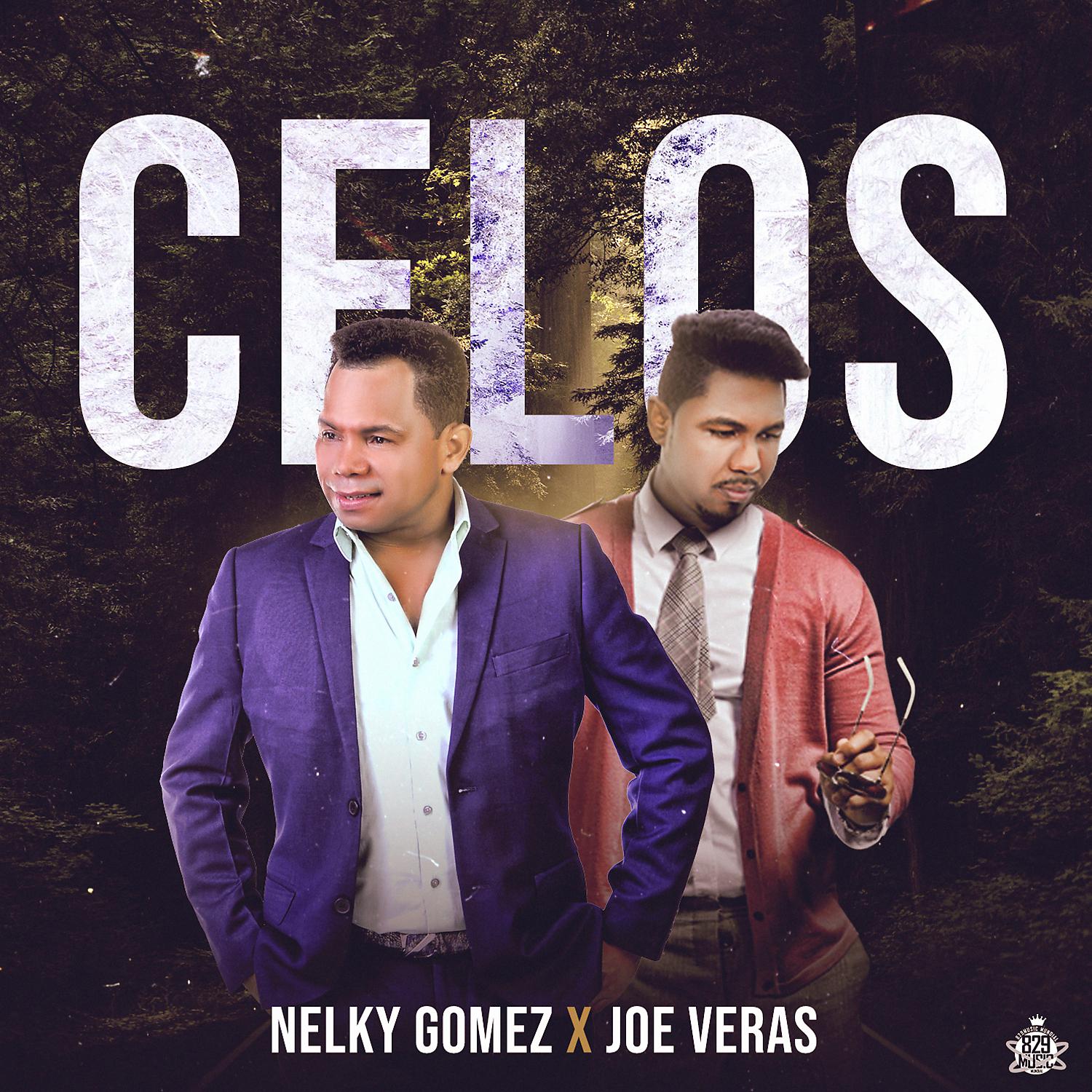 Постер альбома Celos