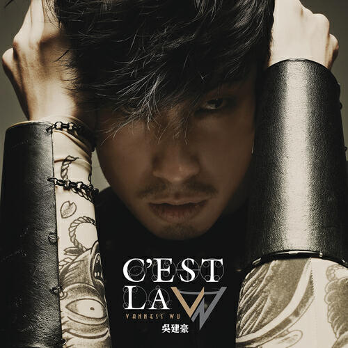 Van Ness Wu - Shuo Ai Jiu Ai (Album Version)