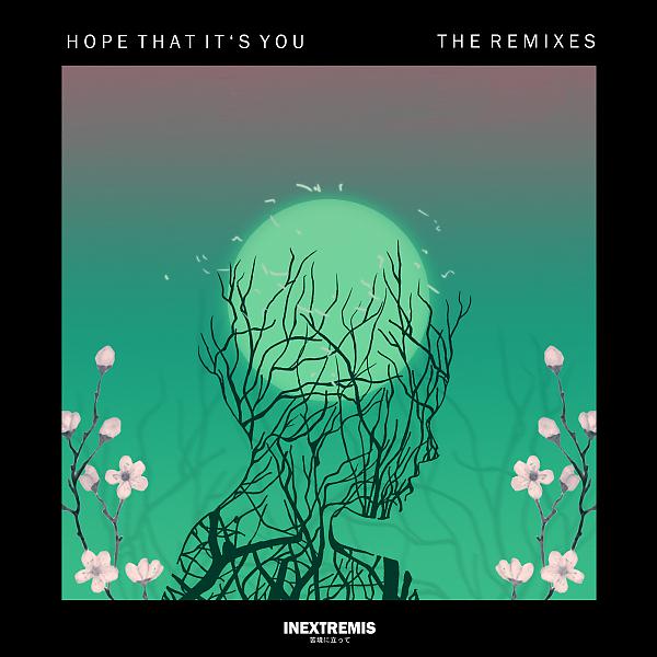 Постер альбома Hope That It's You (The Remixes)