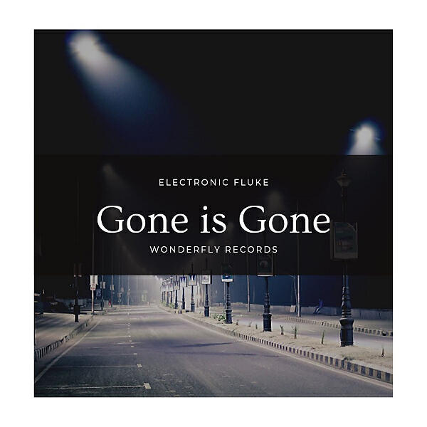 Electronic Fluke - Gone is gone