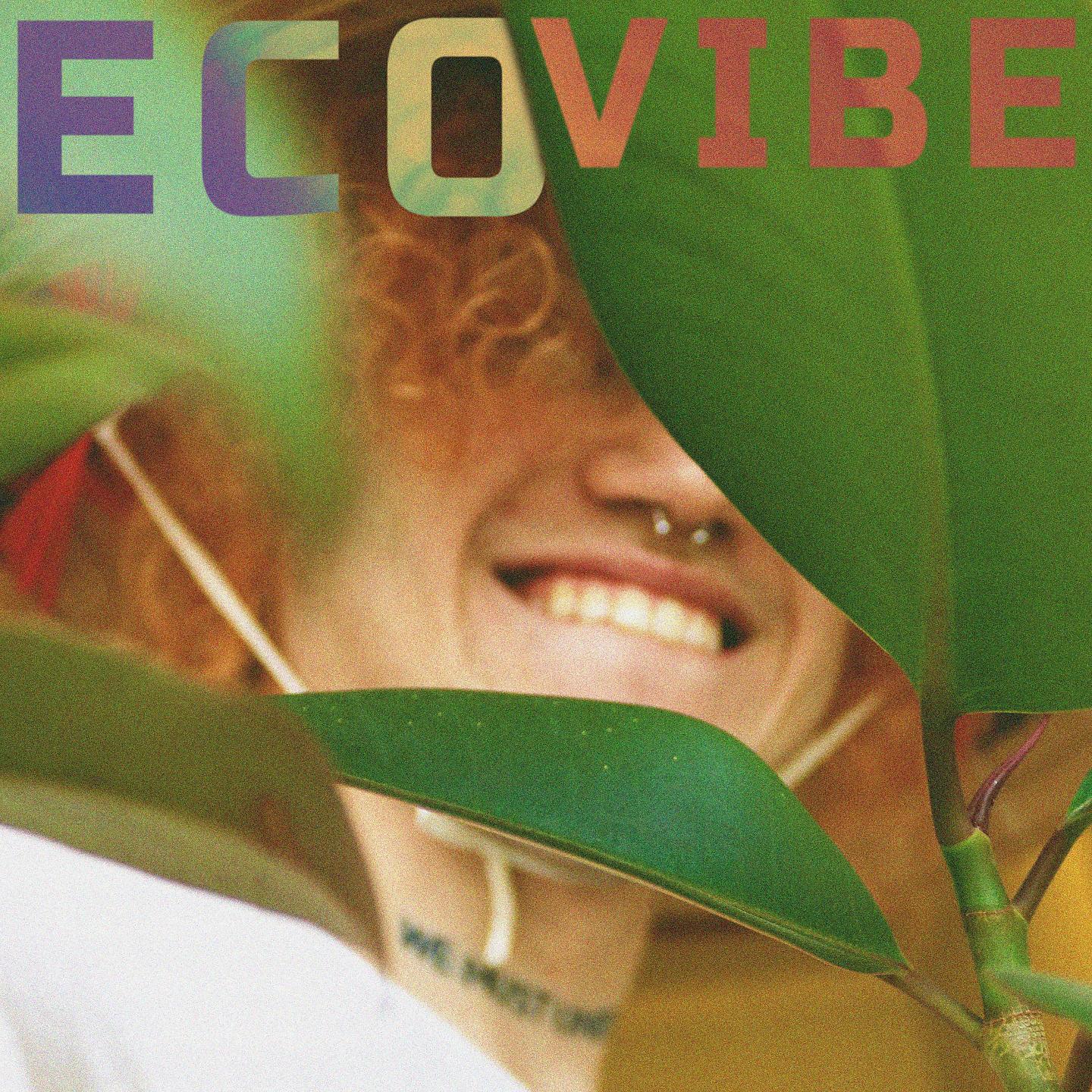 Постер альбома Eco Vibe