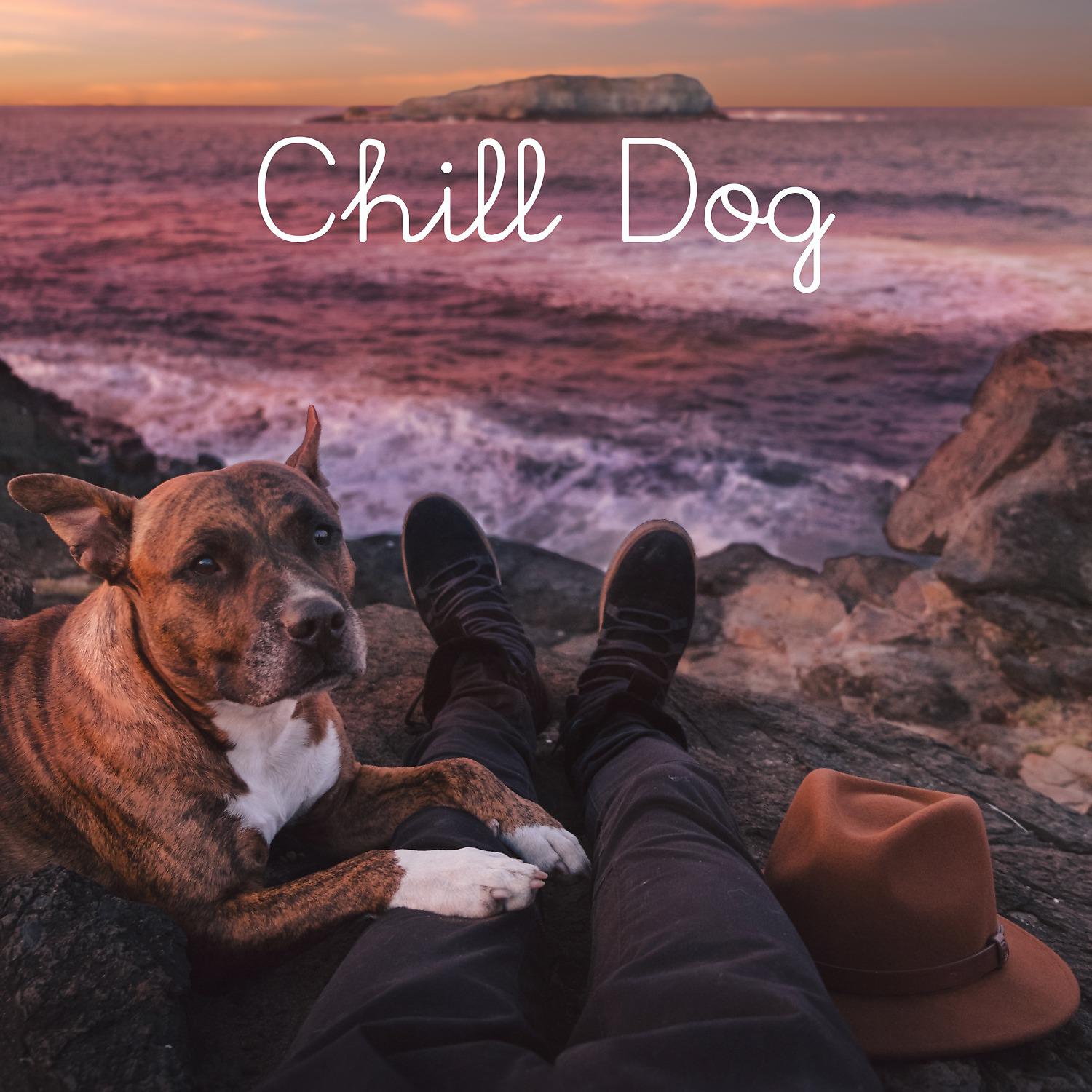 Постер альбома Chill Dog