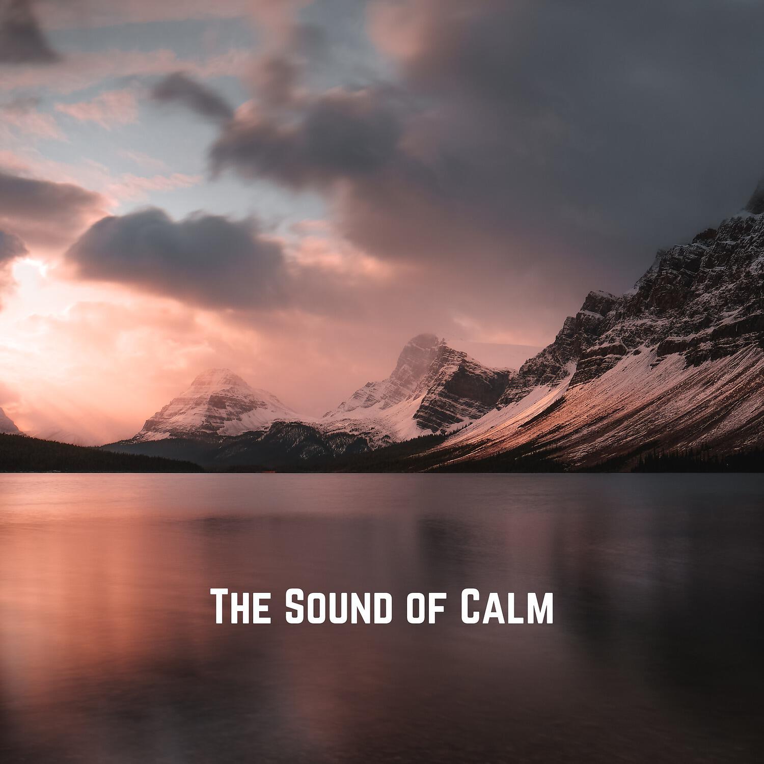 Best Relaxation Music - The Night Heals