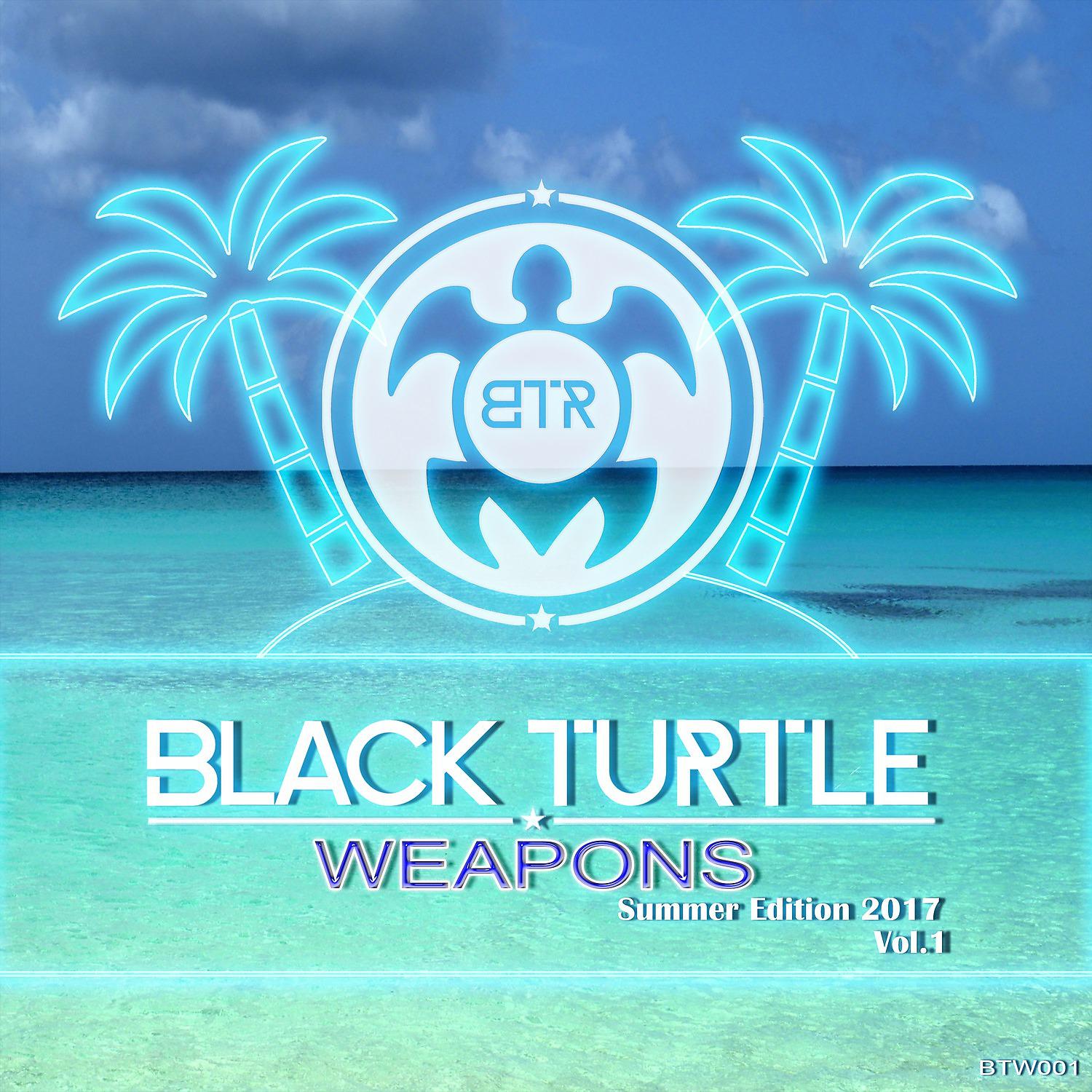 Постер альбома Black Turtle Weapons Summer Edition 2017, Vol. 1