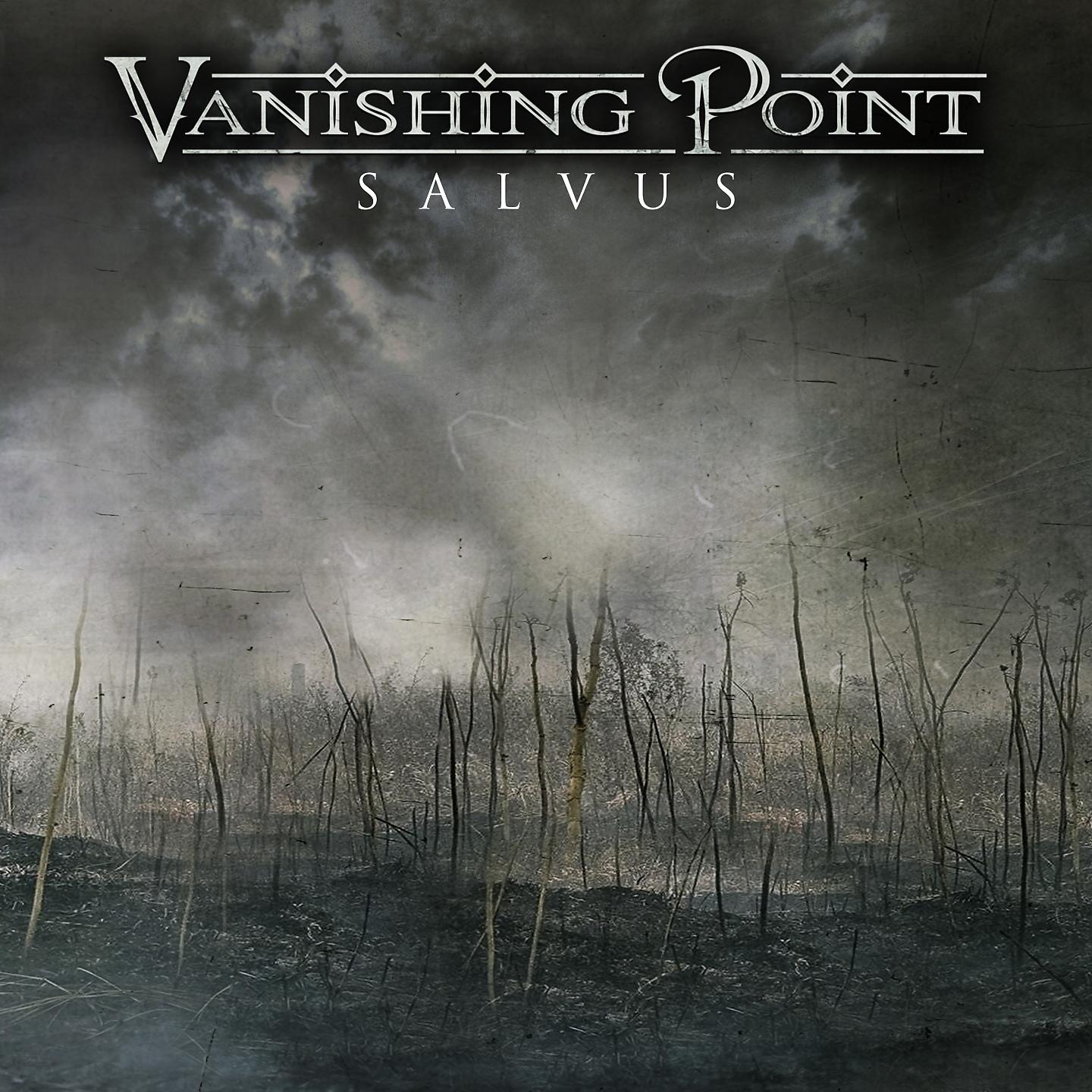 Постер альбома Salvus