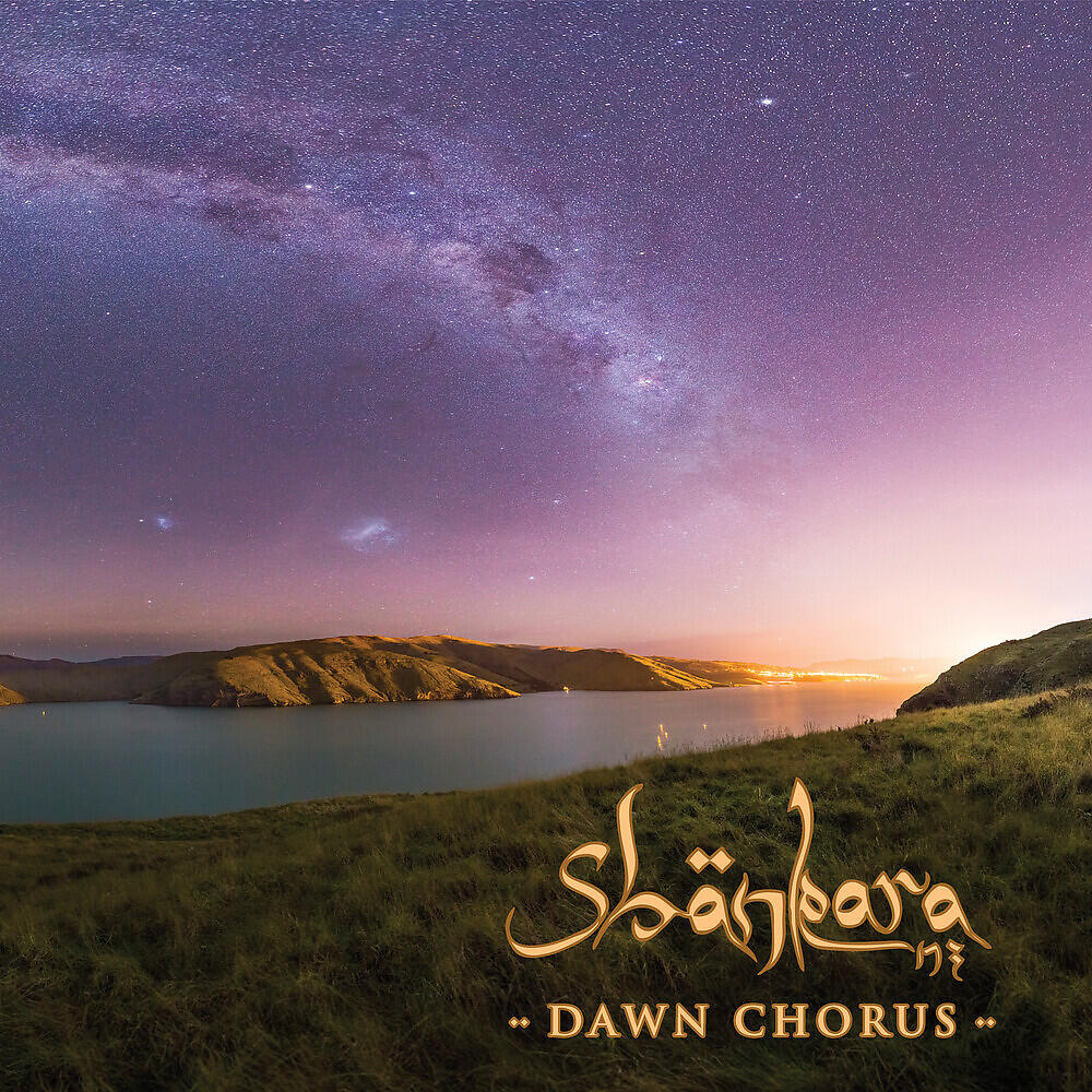 Shankara NZ - In Ya Mind