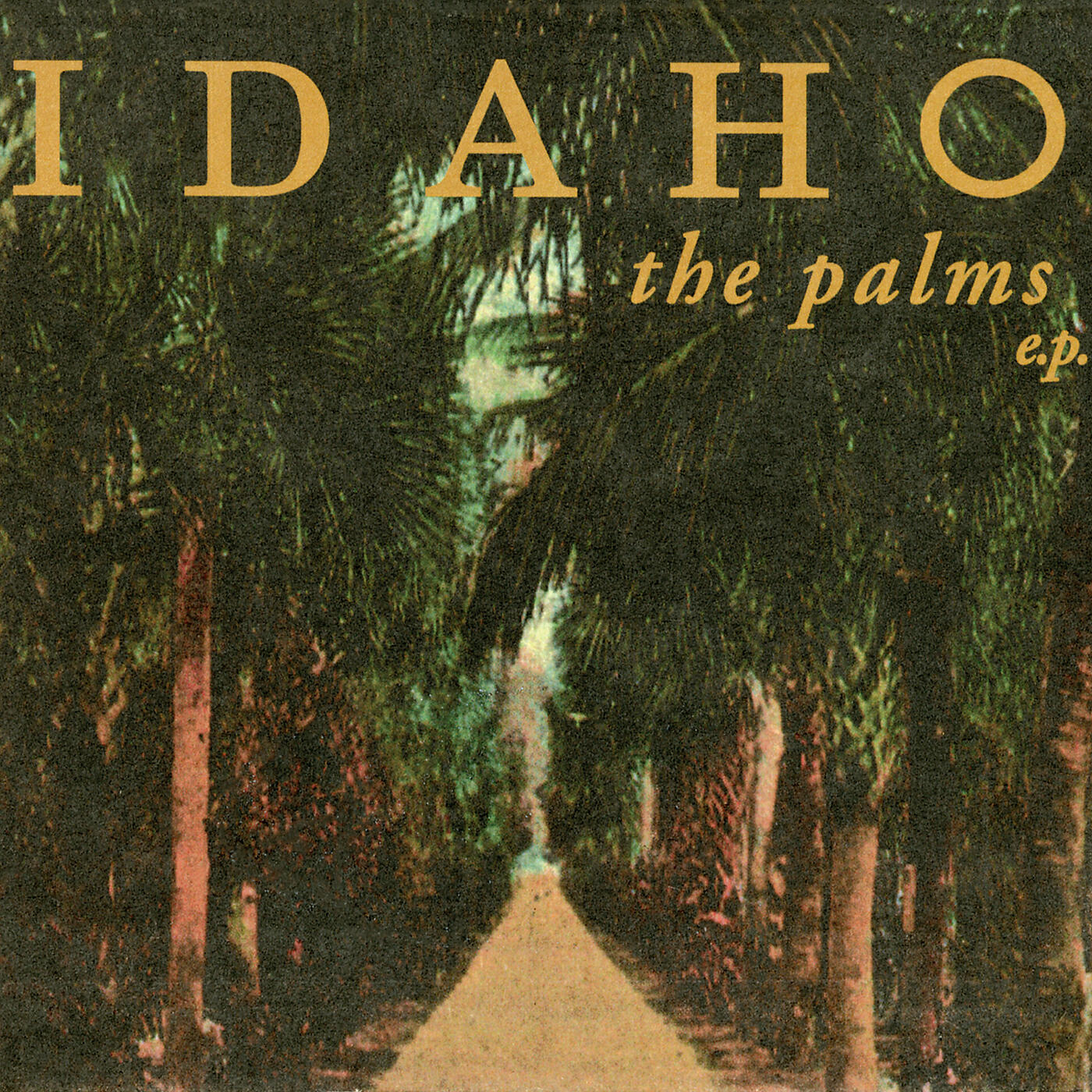 Idaho - Fall Around