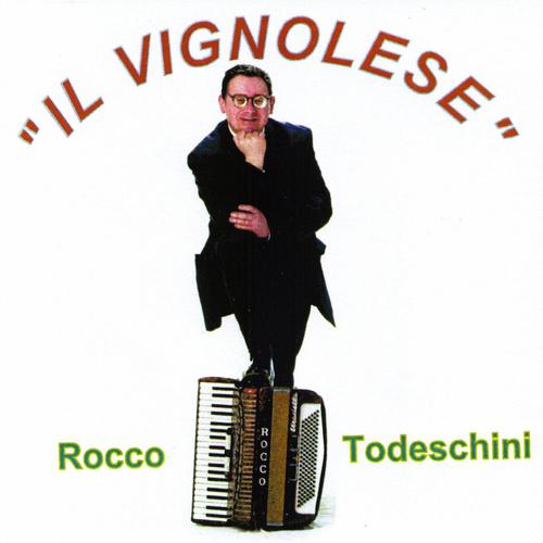 Постер альбома Il Vignolese