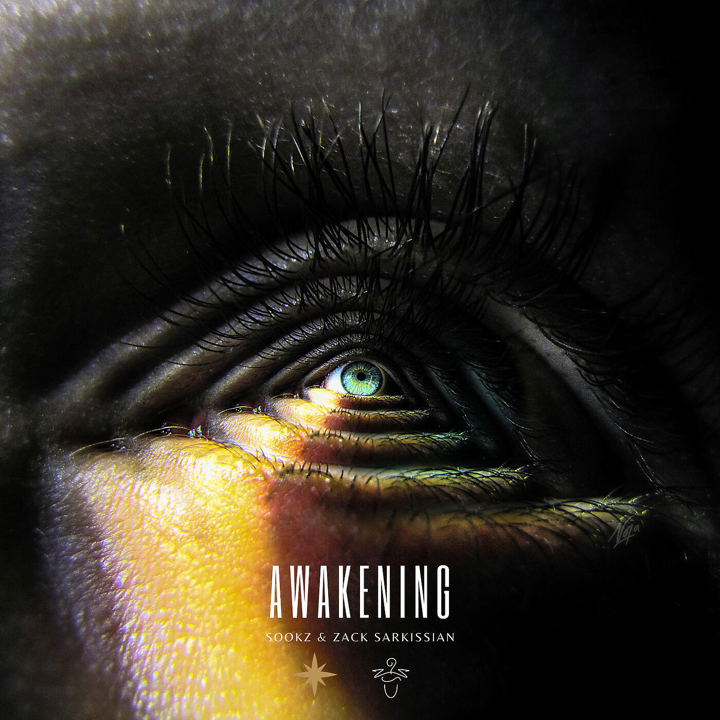 Sookz - Awakening