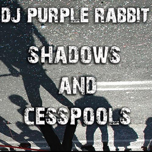 DJ Purple Rabbit - Shadows and Cesspools (Fissure Price Clean Dubstep Mix)