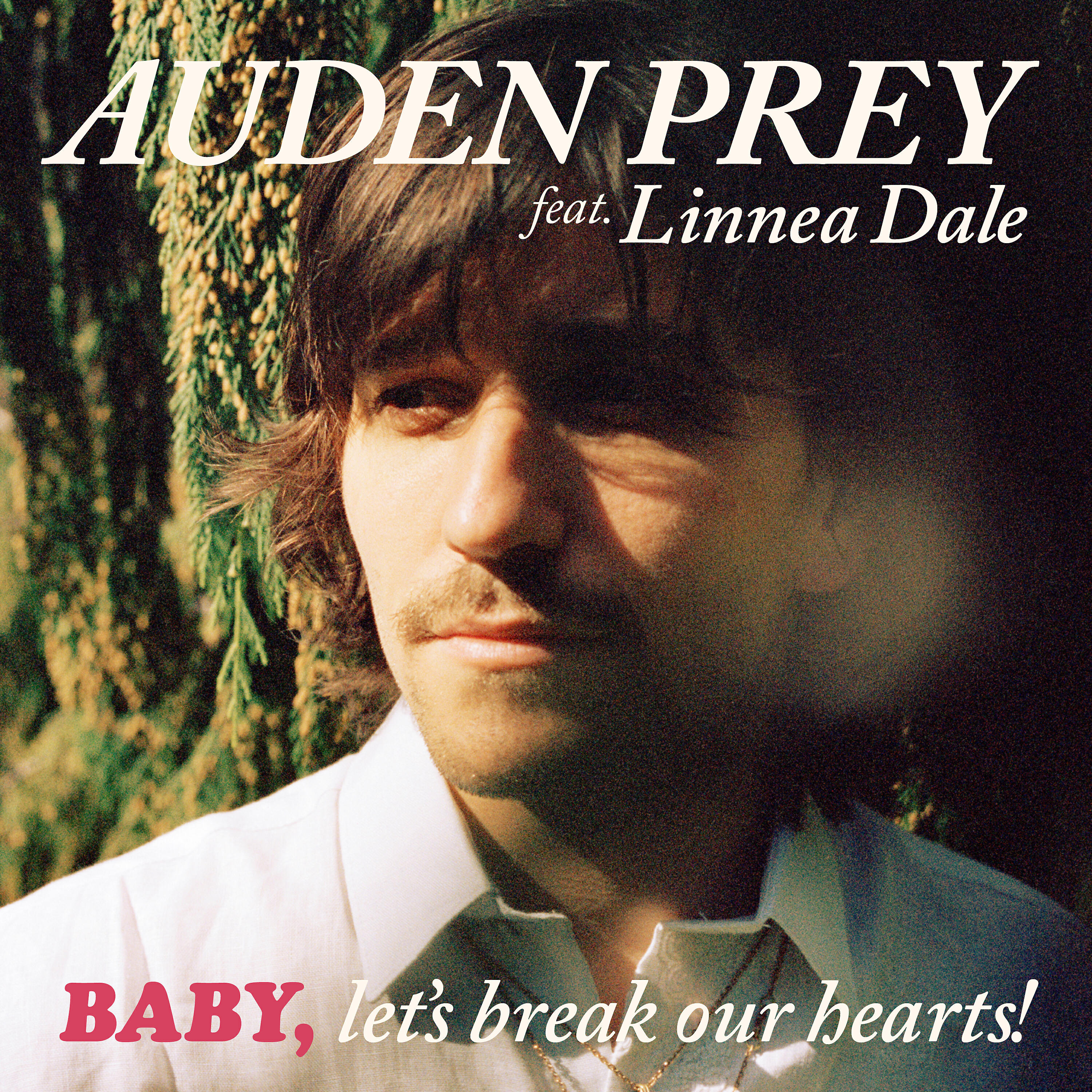 Linnea Dale - Baby, Let's Break Our Hearts