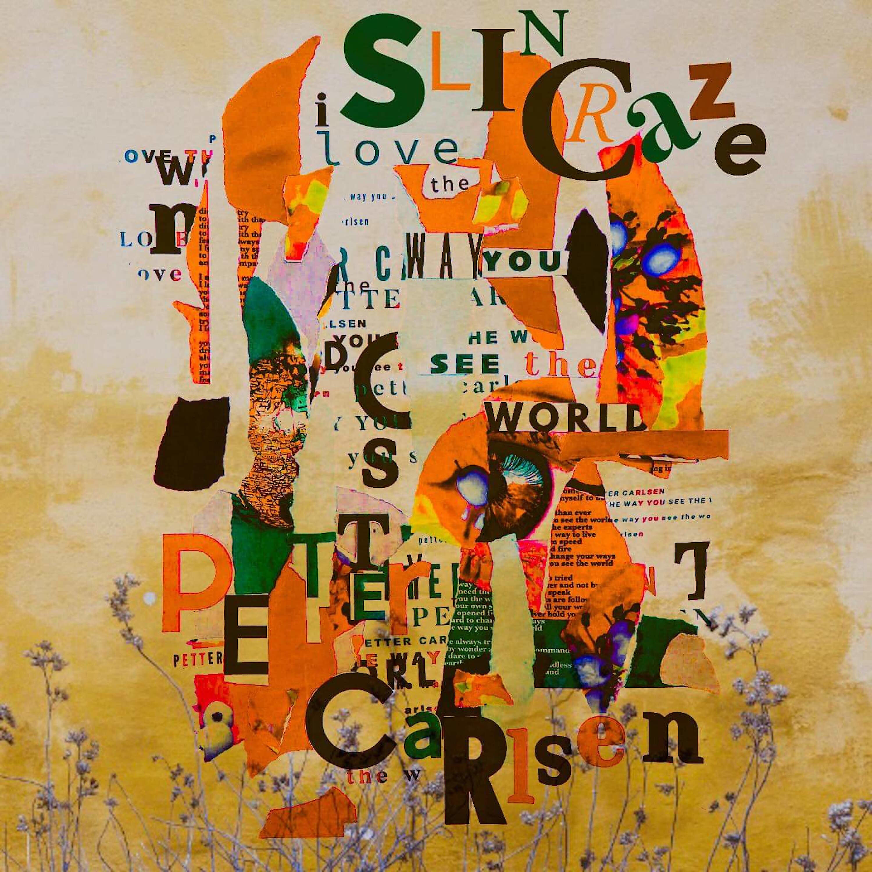 Slincraze - I Love the Way You See the World (Remix)