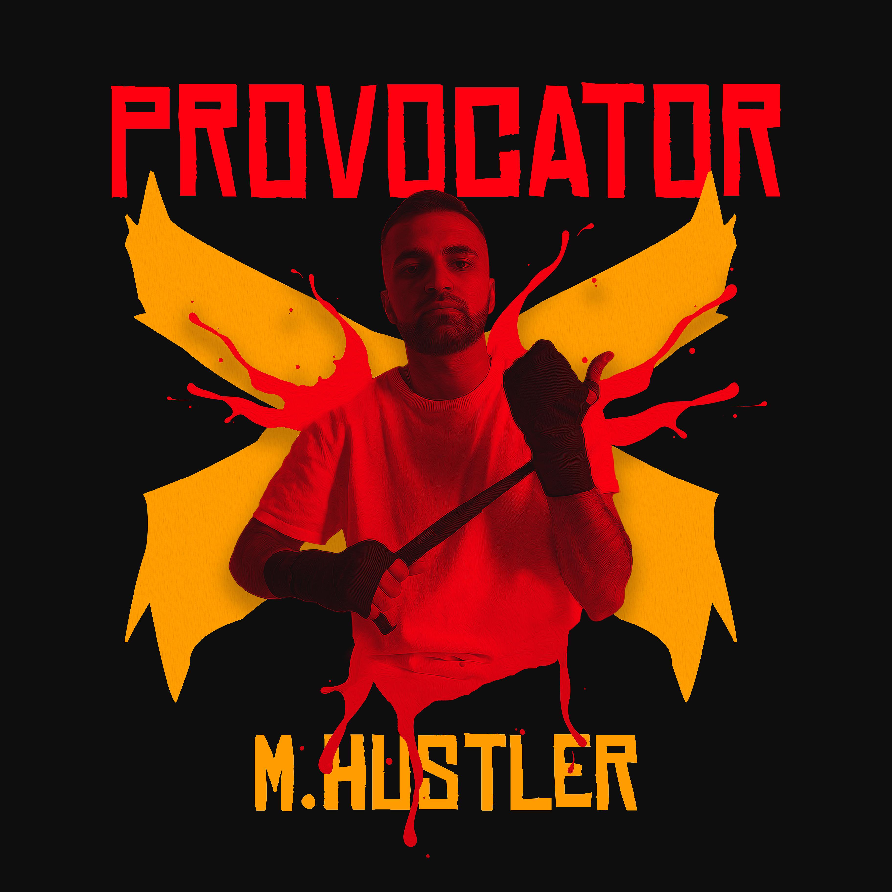 Постер альбома Provocator