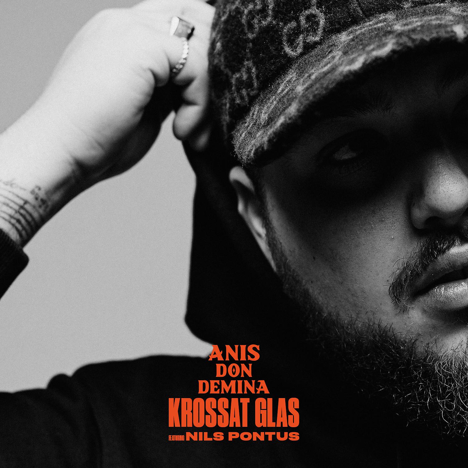 Anis Don Demina - Krossat glas (feat. Nils Pontus)