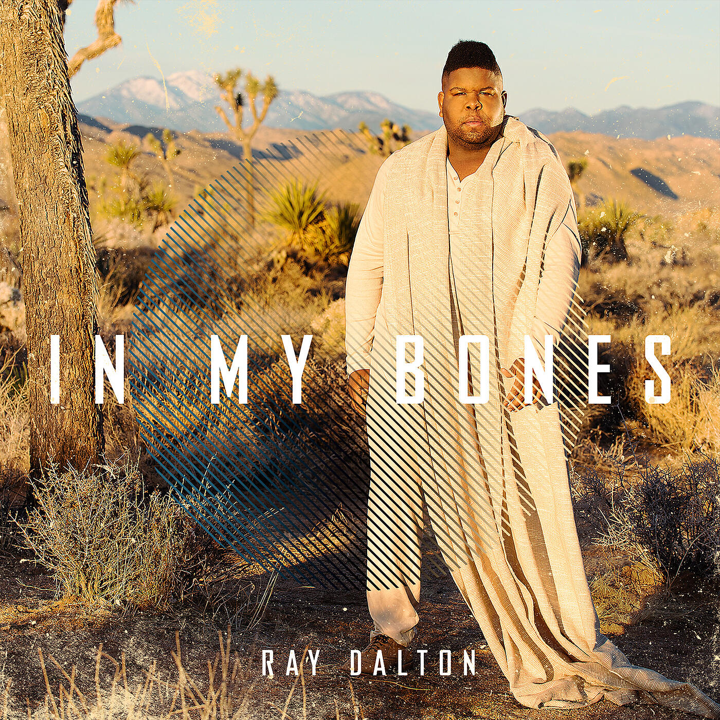 Ray Dalton - In My Bones (Malik Montana Remix)