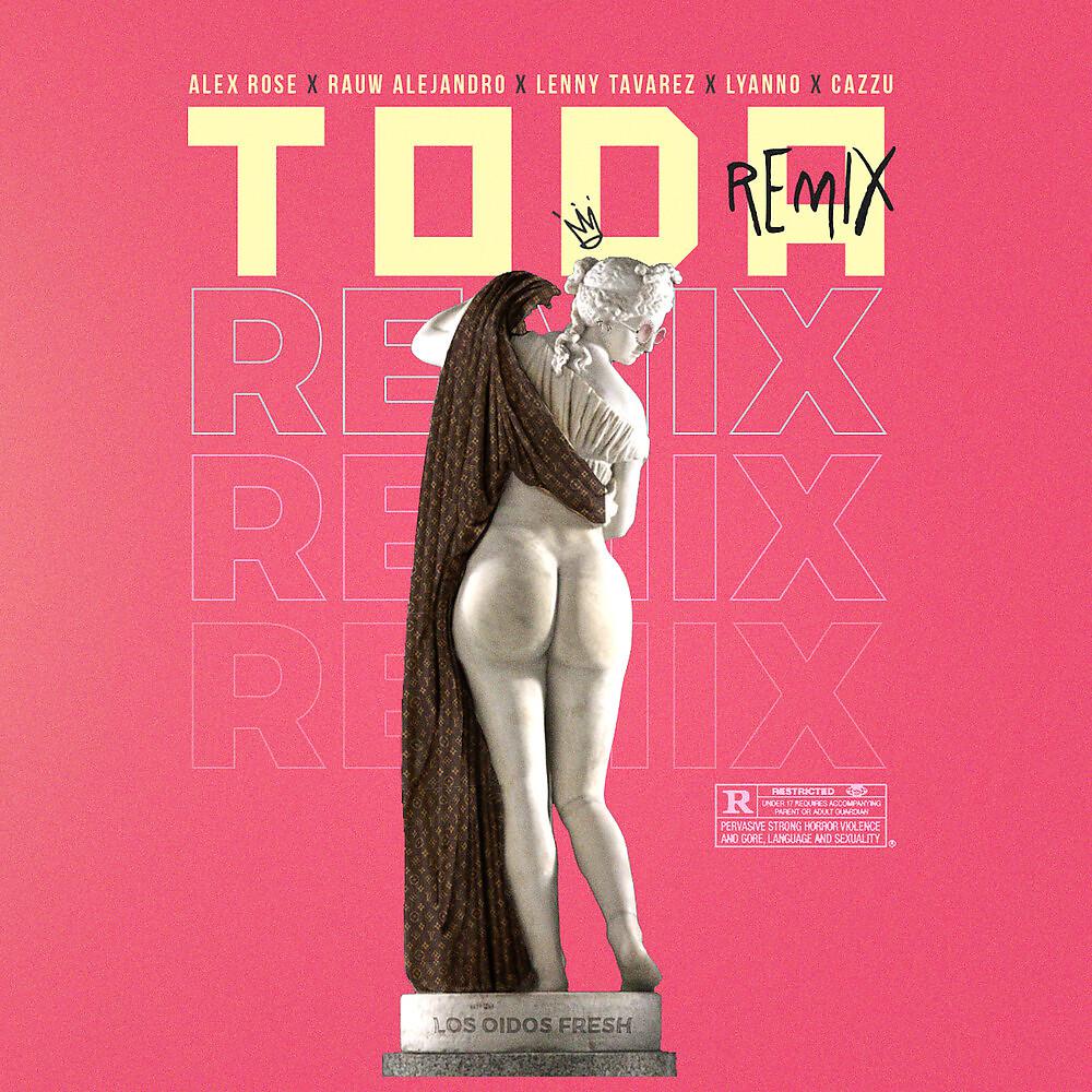 Постер альбома Toda Remix