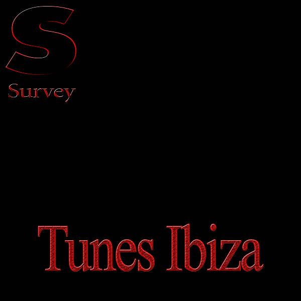 Постер альбома Tunes Ibiza