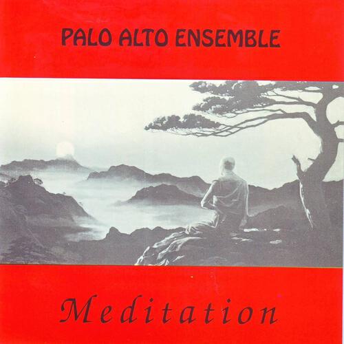 Palo Alto Ensemble - Aquarama