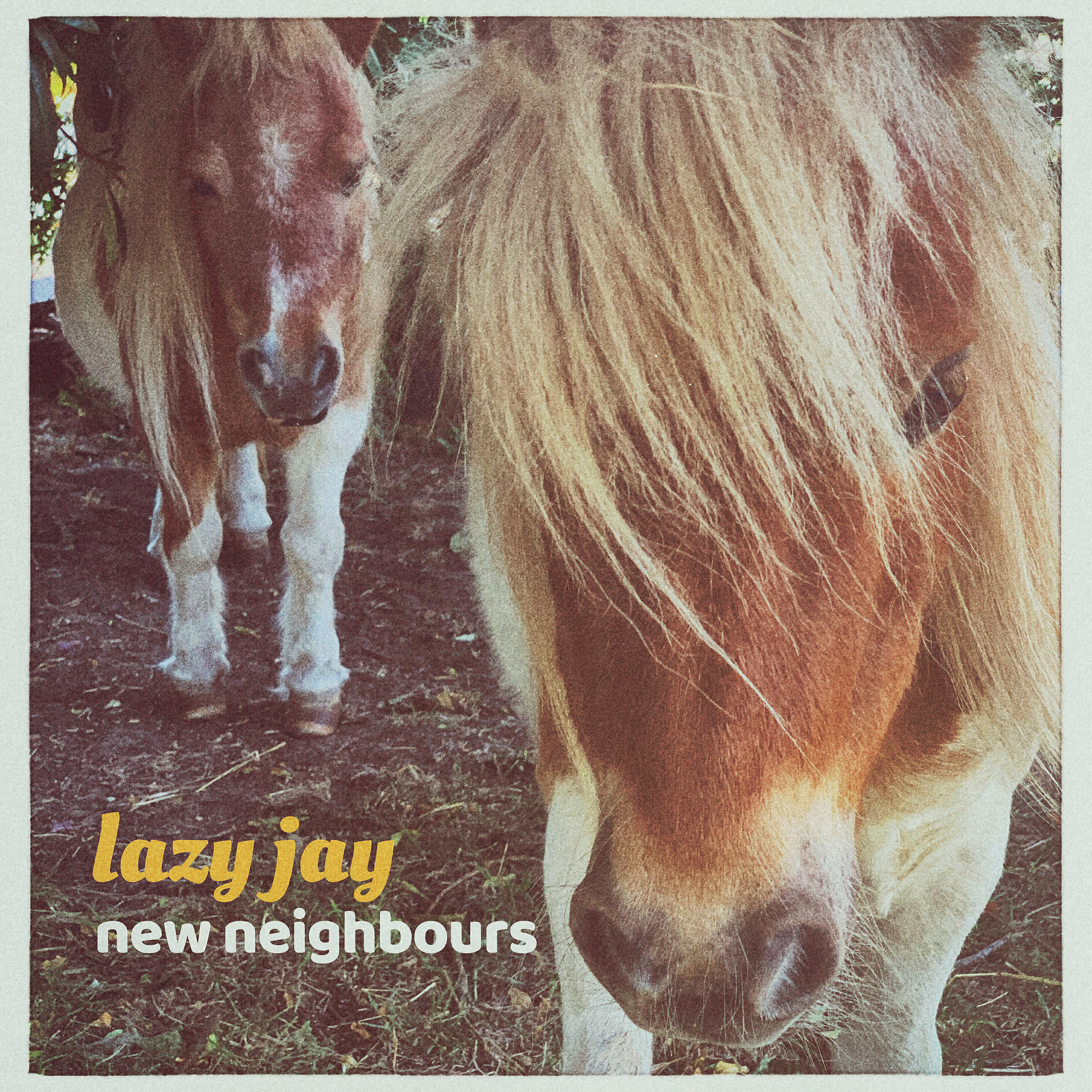 Lazy Jay - New Neighbours