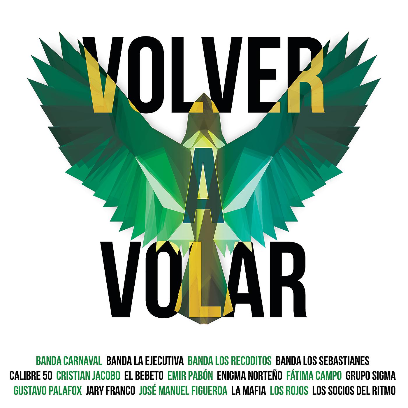 Постер альбома Volver A Volar