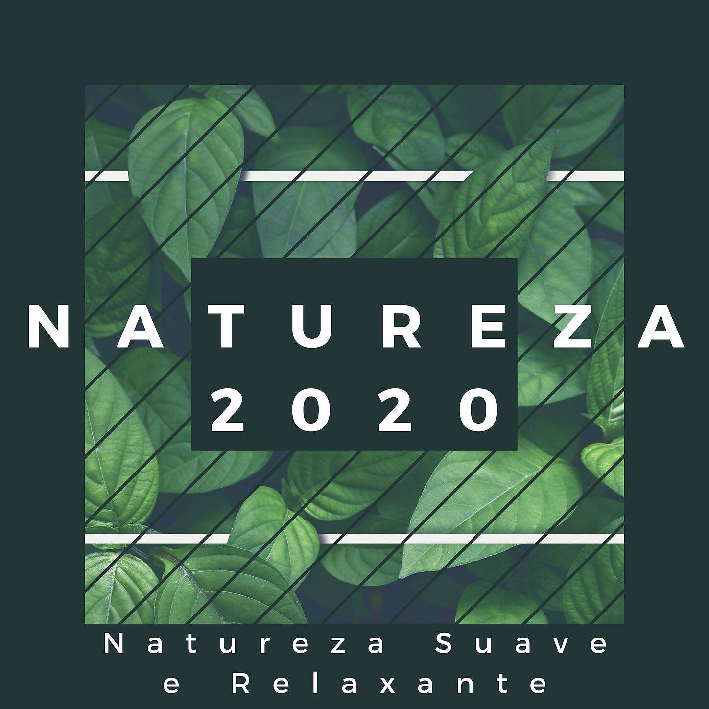 Luiz Natureza dos Reis - Boas Vibrações