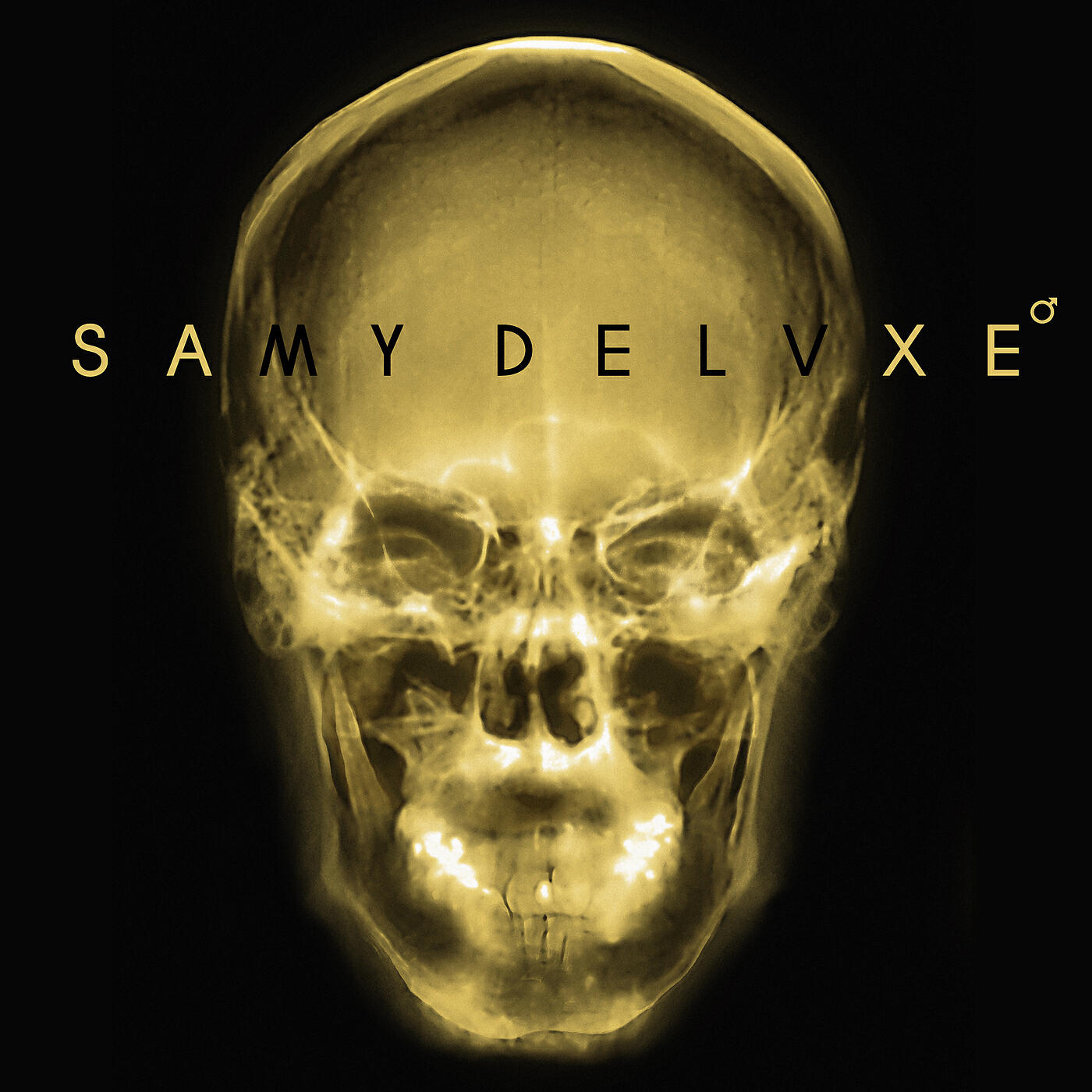 Samy Deluxe - Habt ihr mich vermisst?