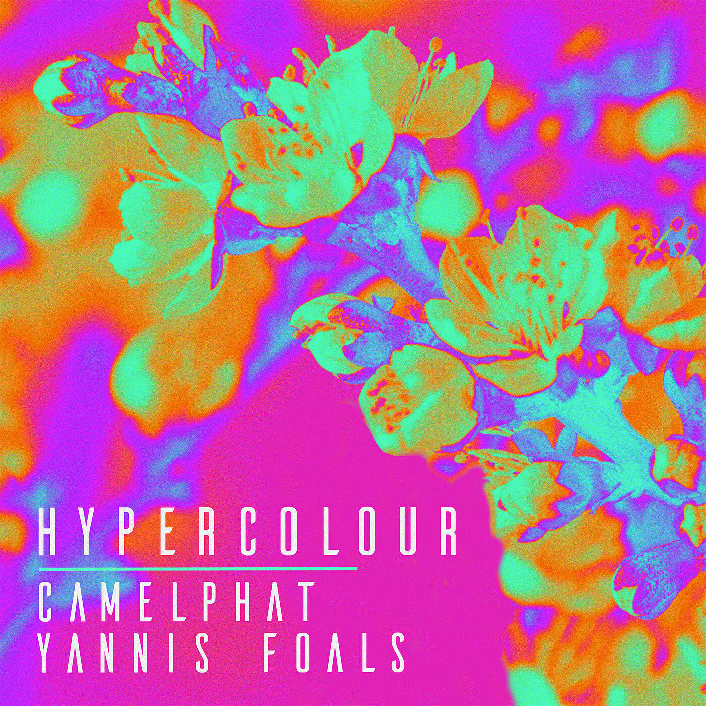CamelPhat - Hypercolour