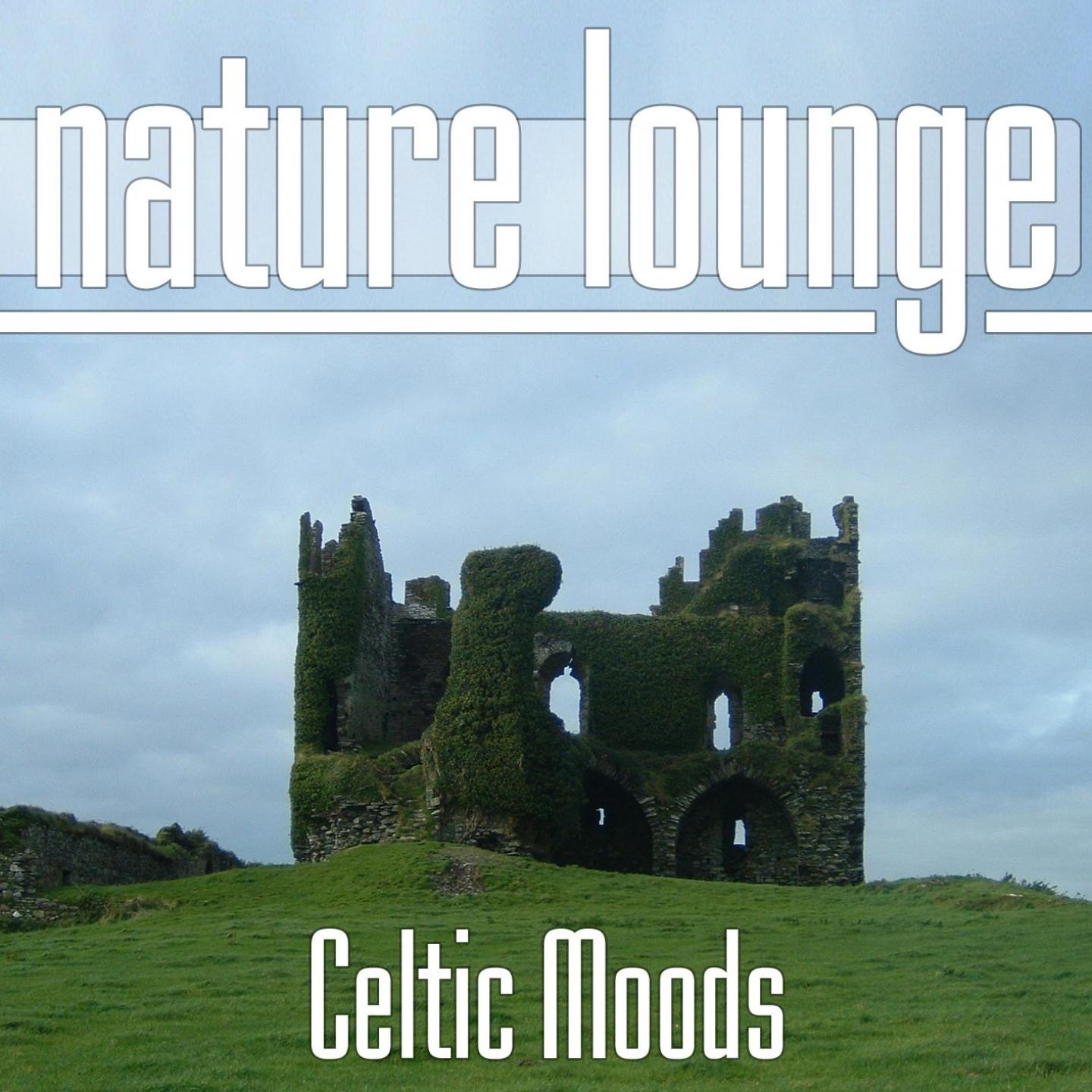 Постер альбома Celtic Moods