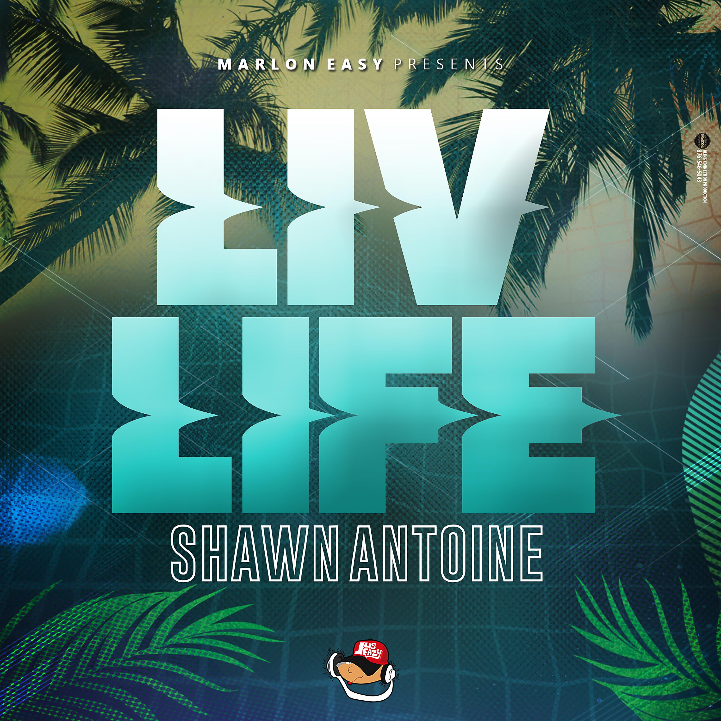 Постер альбома Liv Life