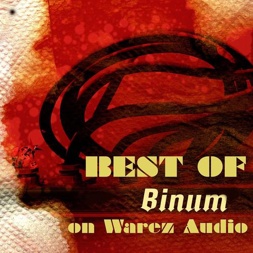 Постер альбома Best of Binum On Warez Audio