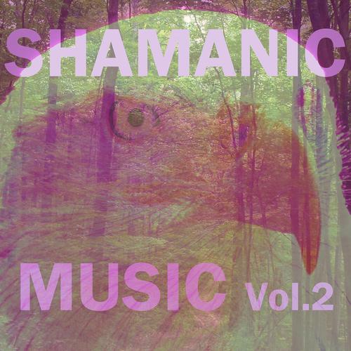 Постер альбома Shamanic Music, Vol. 2