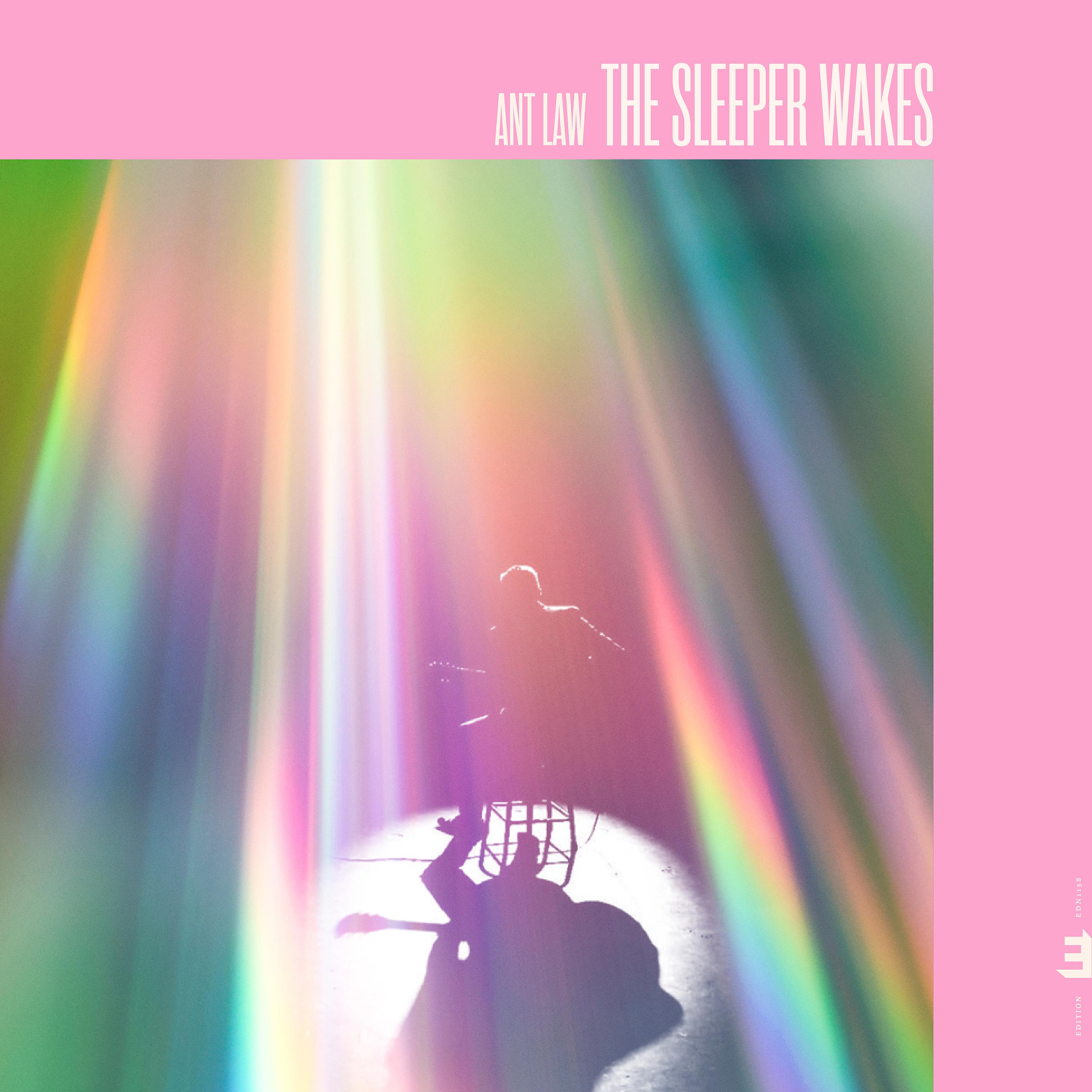 Постер альбома The Sleeper Sleeps