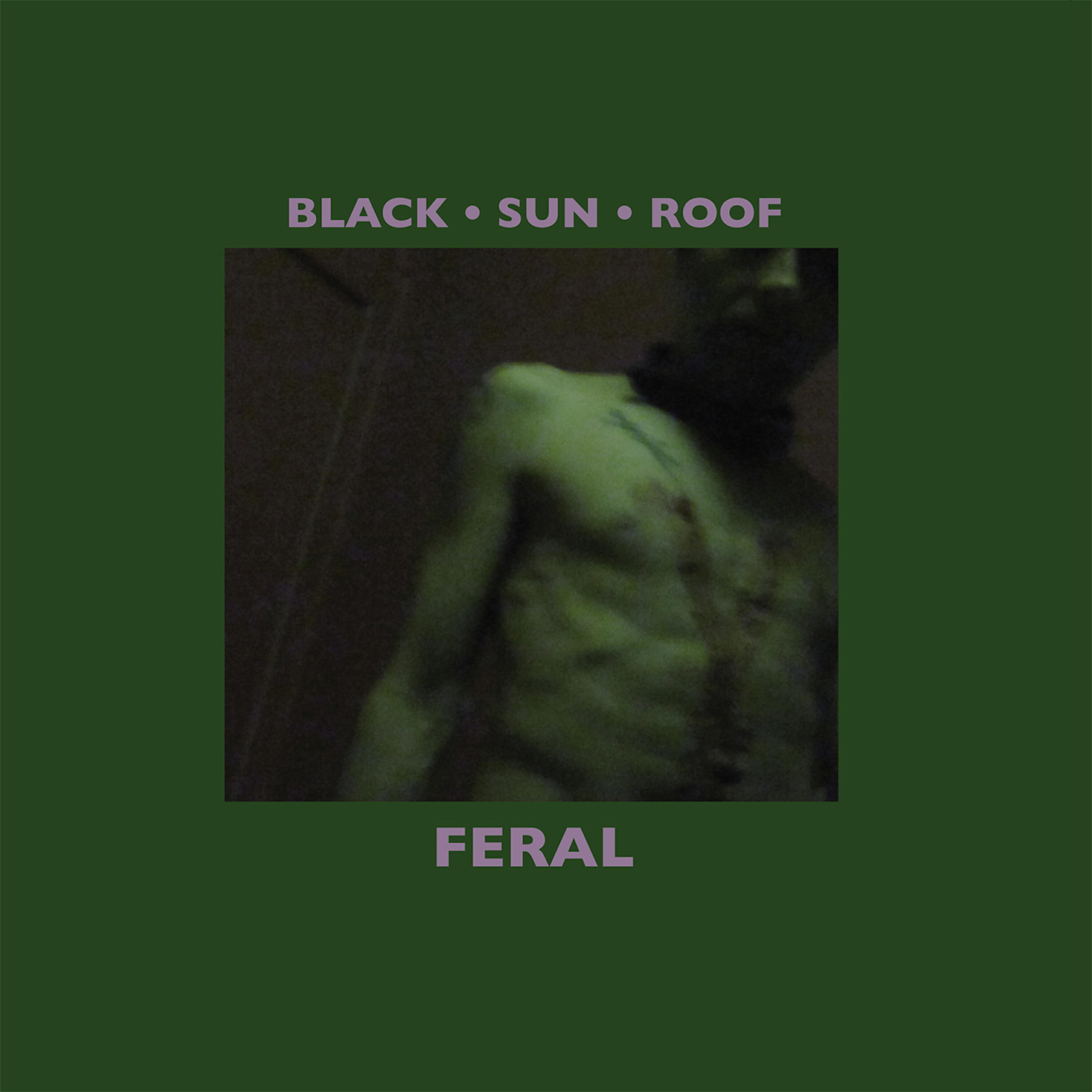 Black Sun Roof - Temple of Mithras