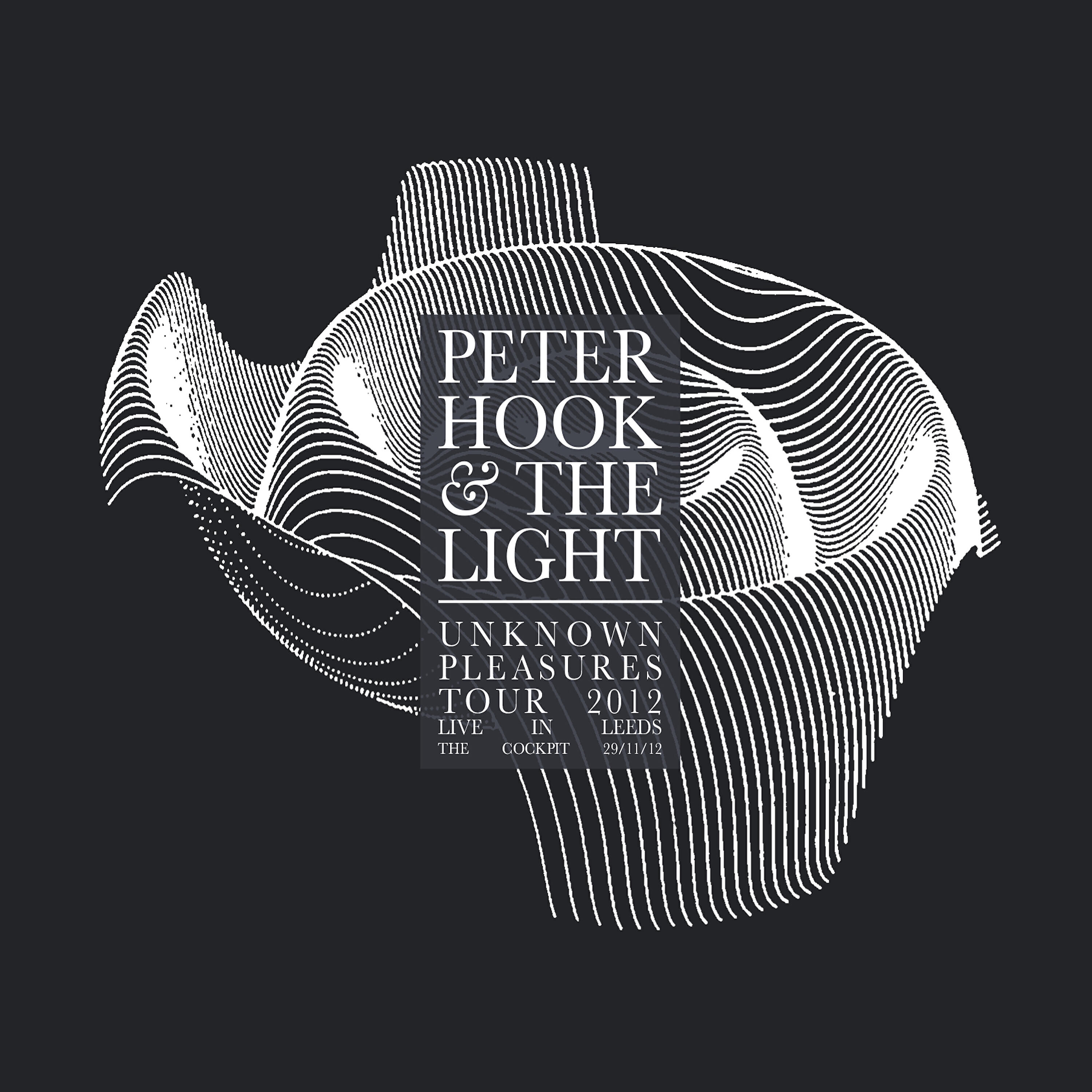 Peter Hook - Dead Souls (Live)