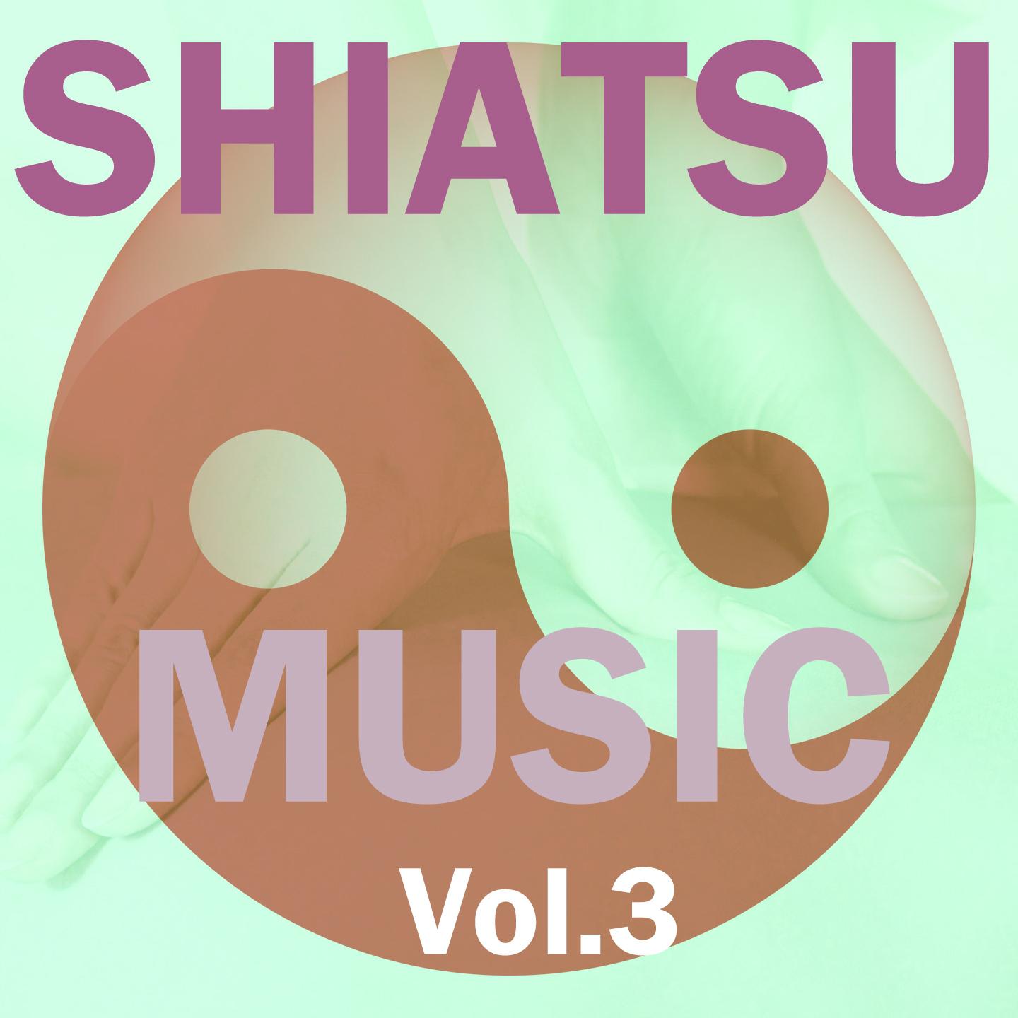 Постер альбома Shiatsu Music, Vol. 3