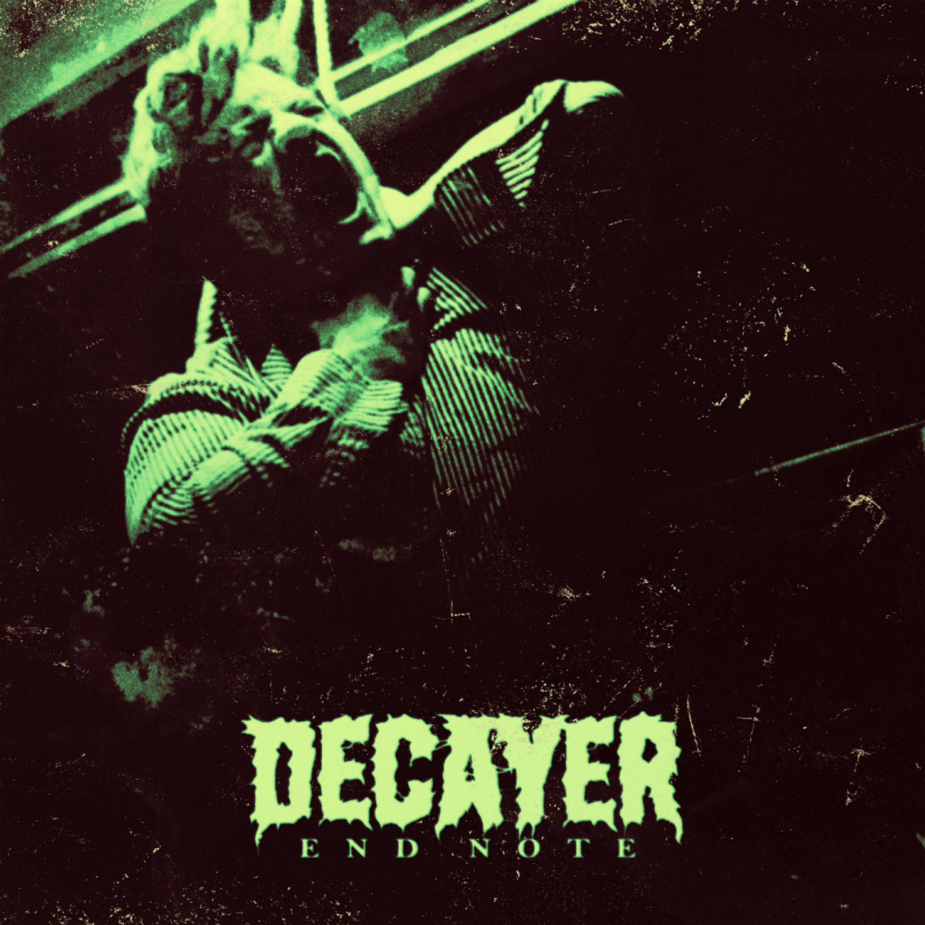 Decayer - Abuse Victim