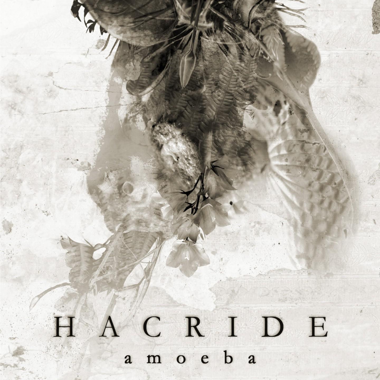 Постер альбома Amoeba