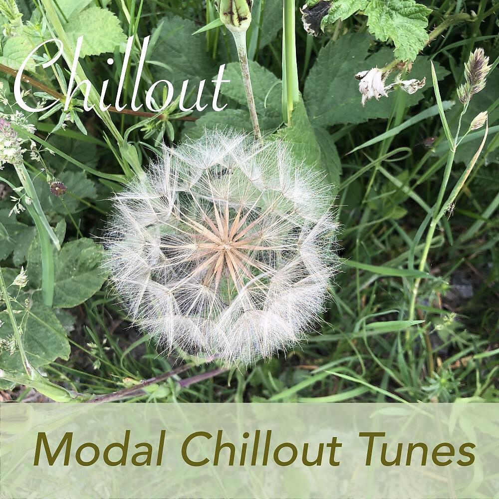 Chillout - Phrygian Touch (Blue Pad Take)
