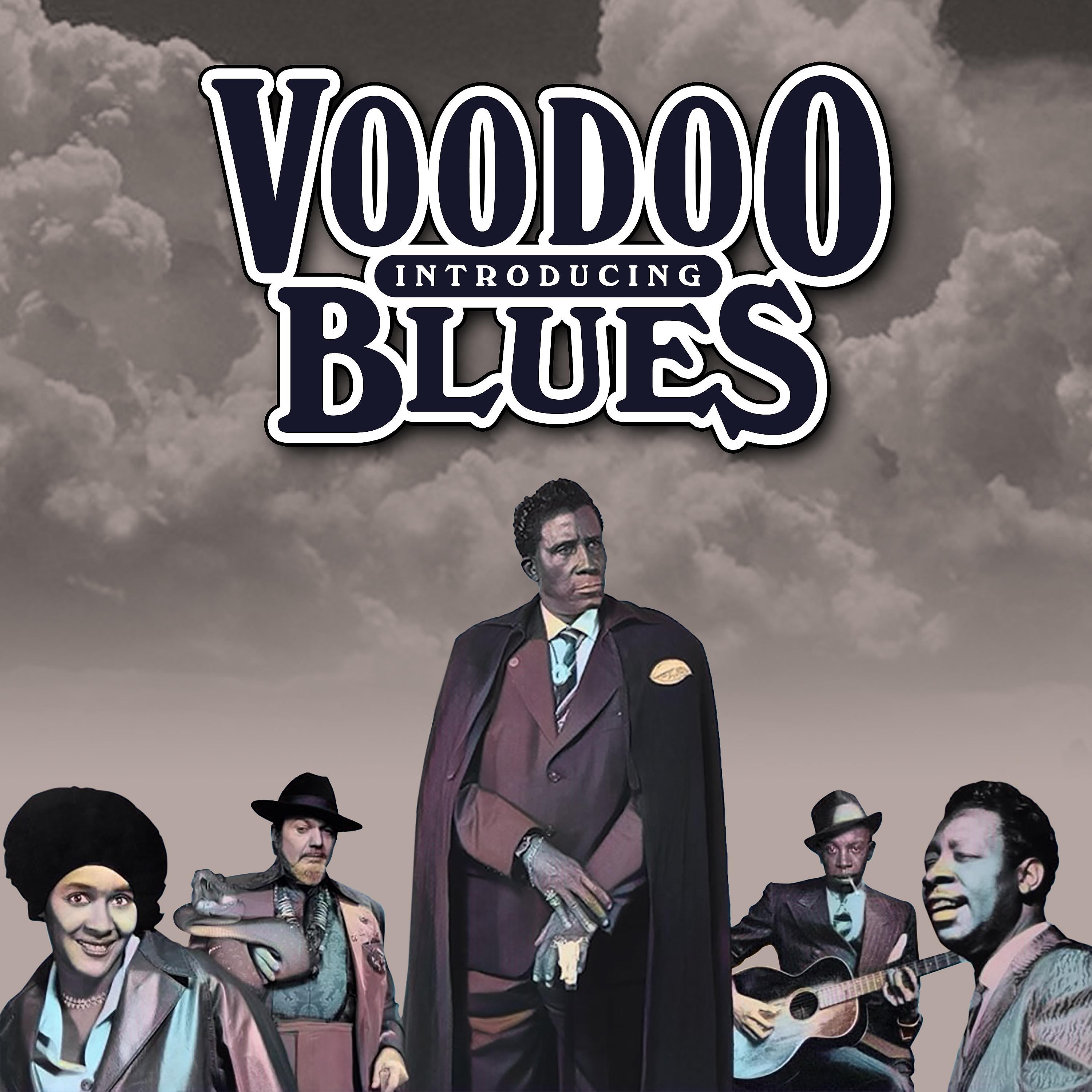 Постер альбома Introducing Voodoo Blues