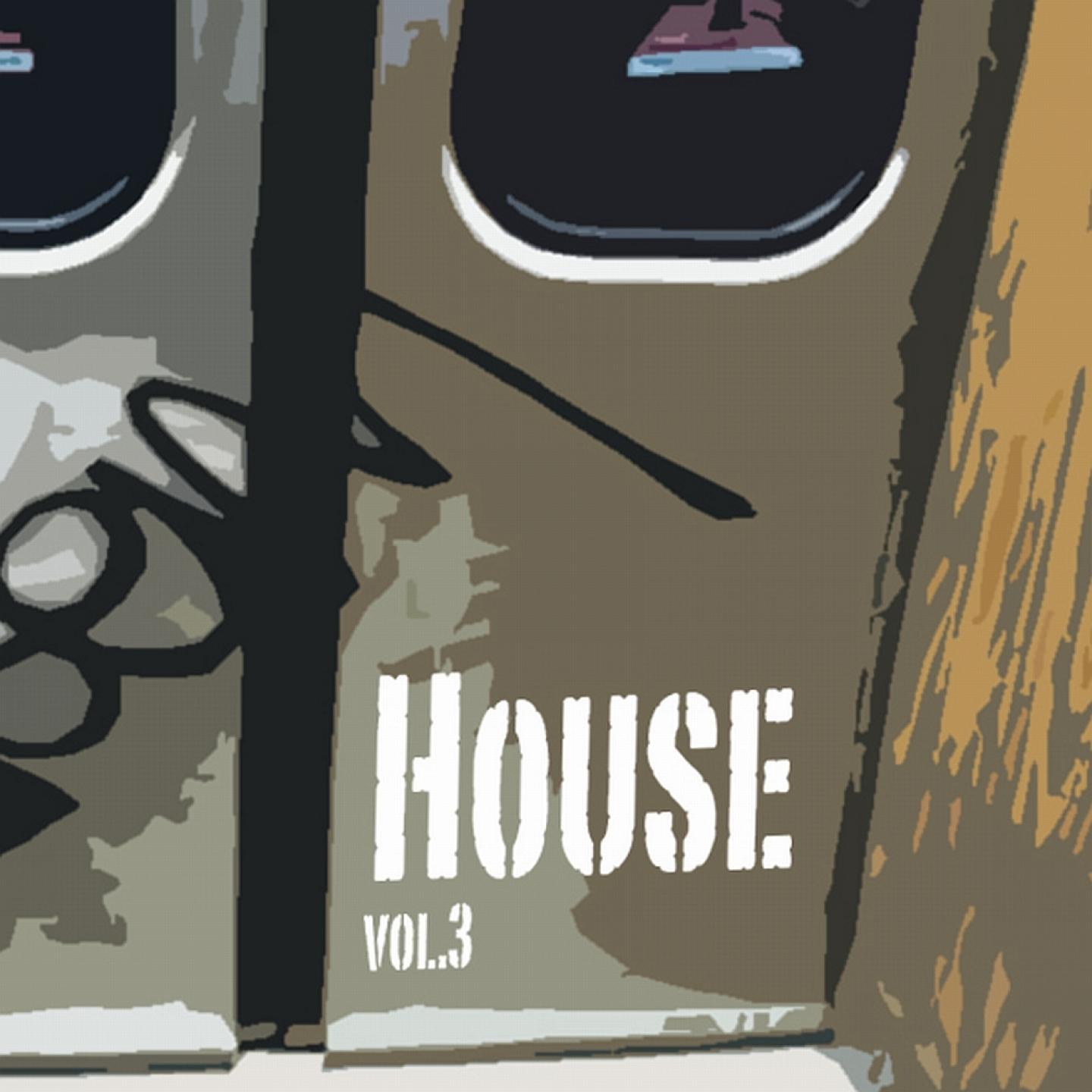 Постер альбома House 3