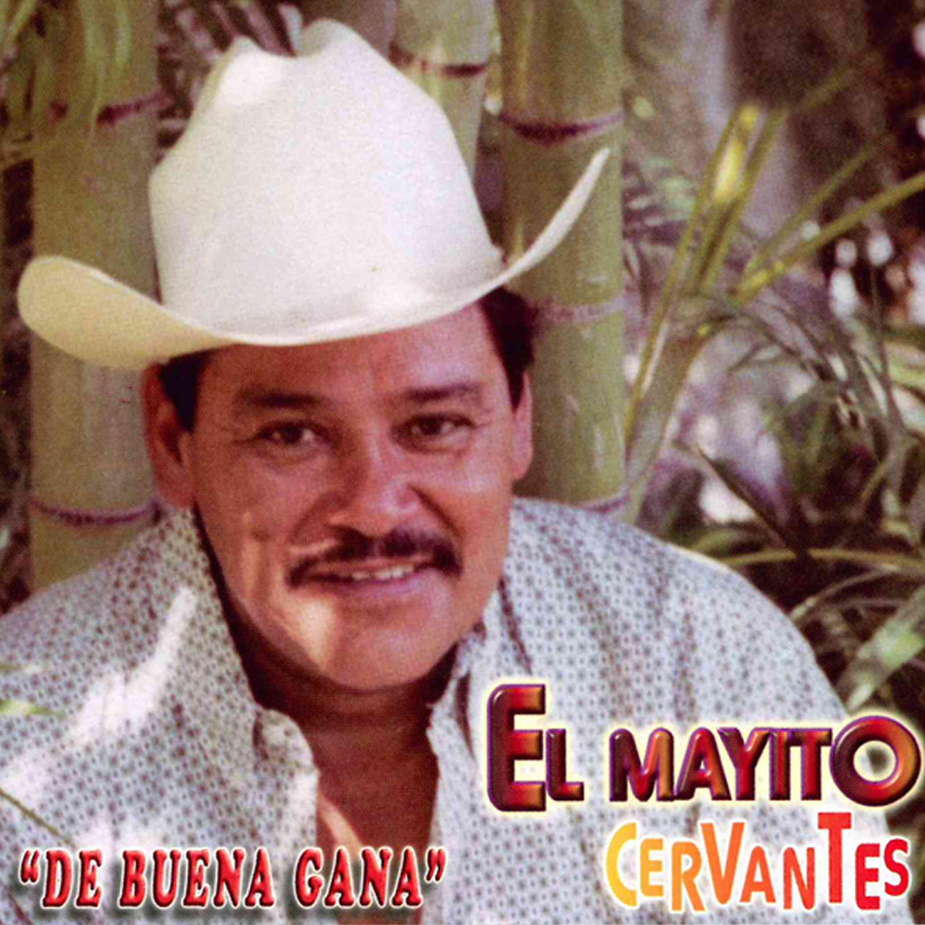 El Mayito Cervantes - Vicente Magana
