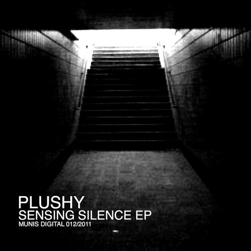 Постер альбома Sensing Silence - EP