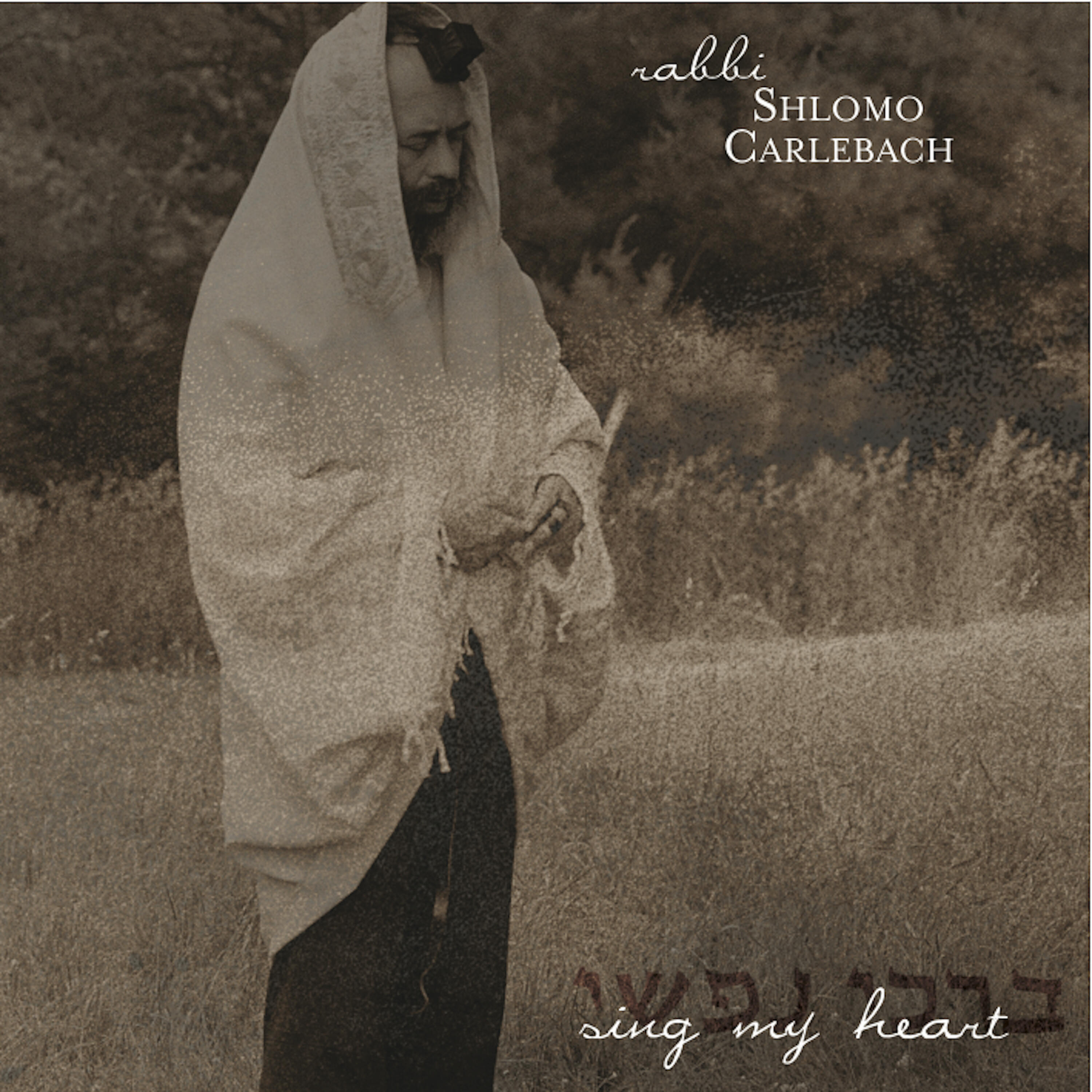 Rabbi Shlomo Carlebach - Behold Our Affliction