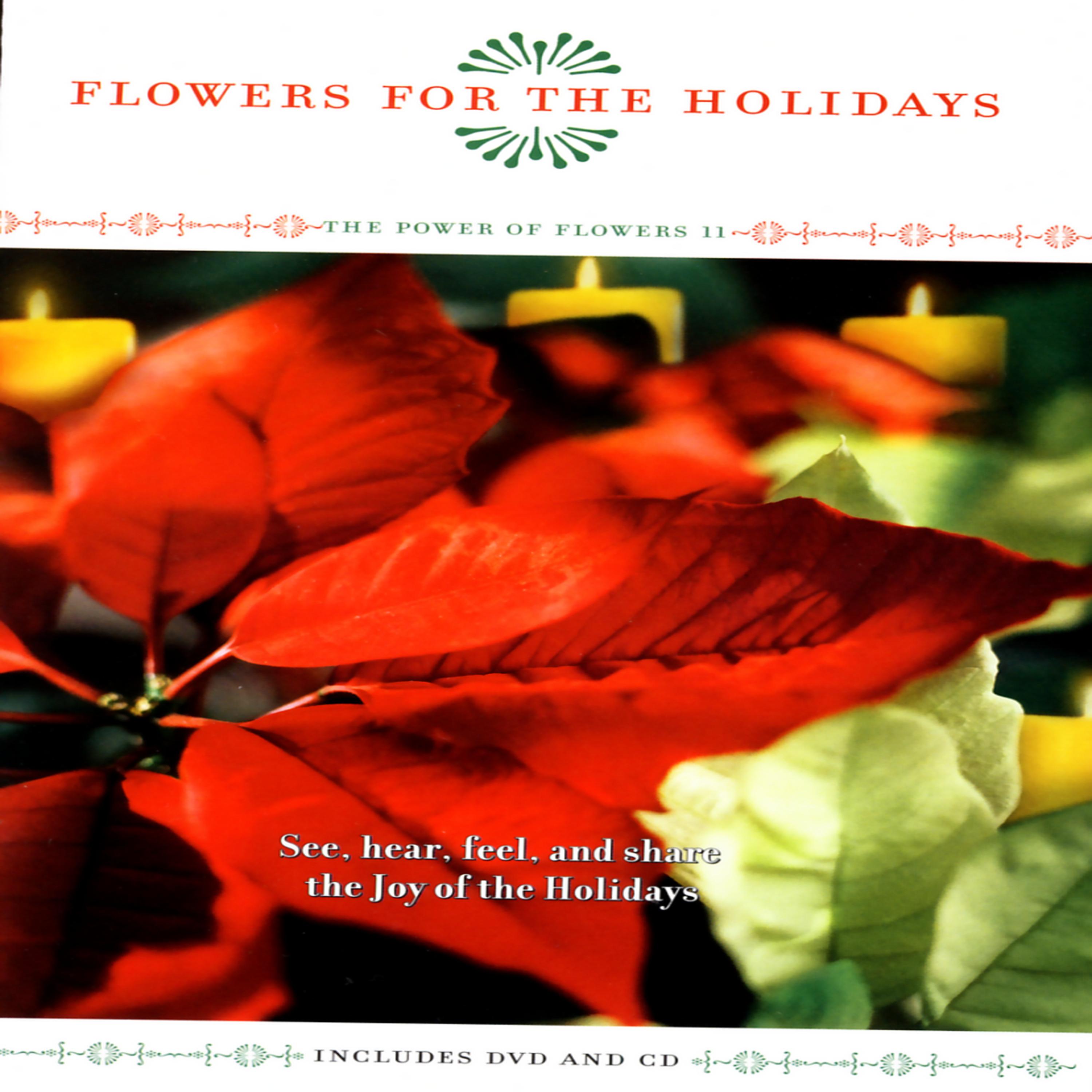 Постер альбома Flowers For The Holidays - The Power Of Flowers 11